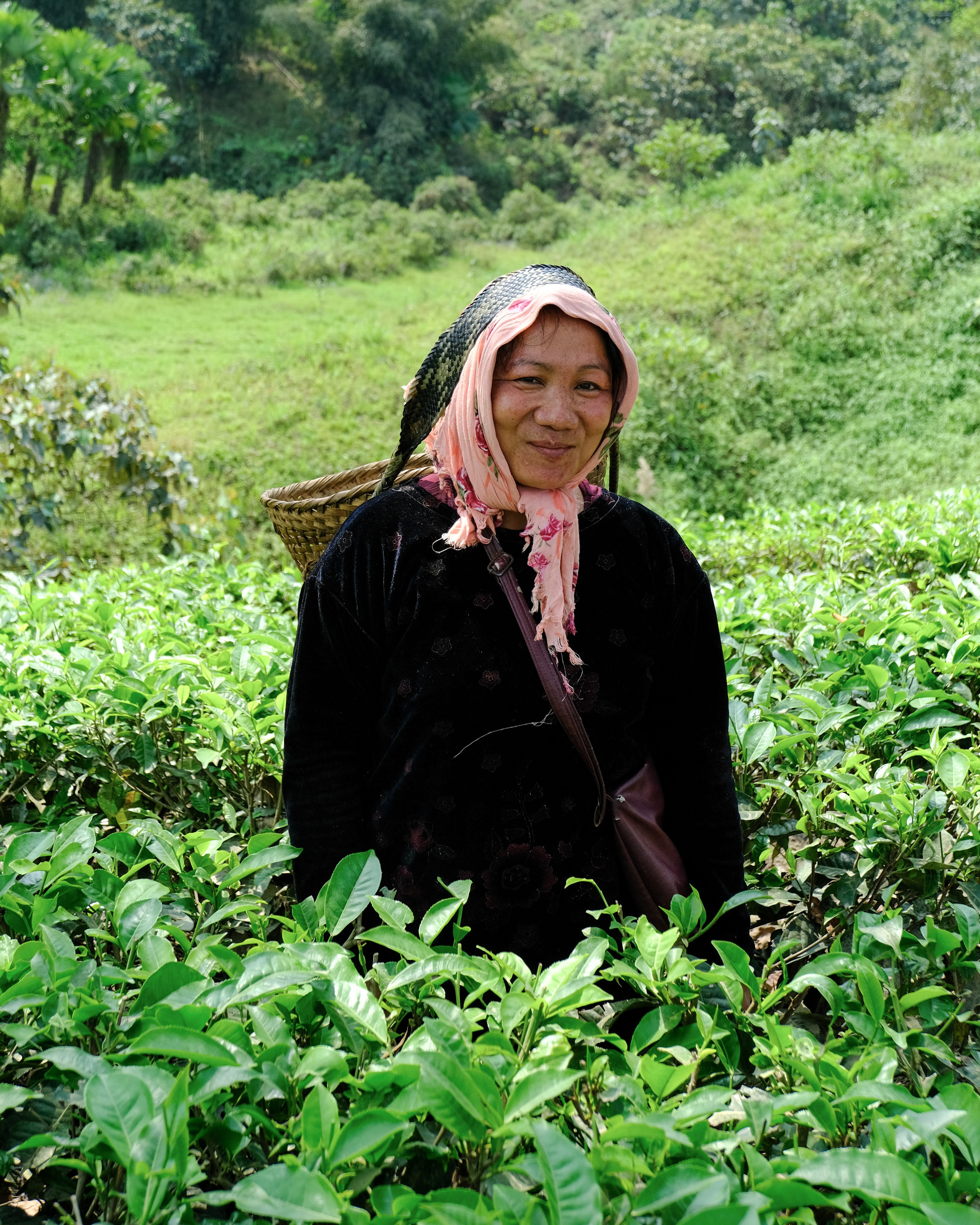 Ассам и Казиранга. Фотографии из путешествий