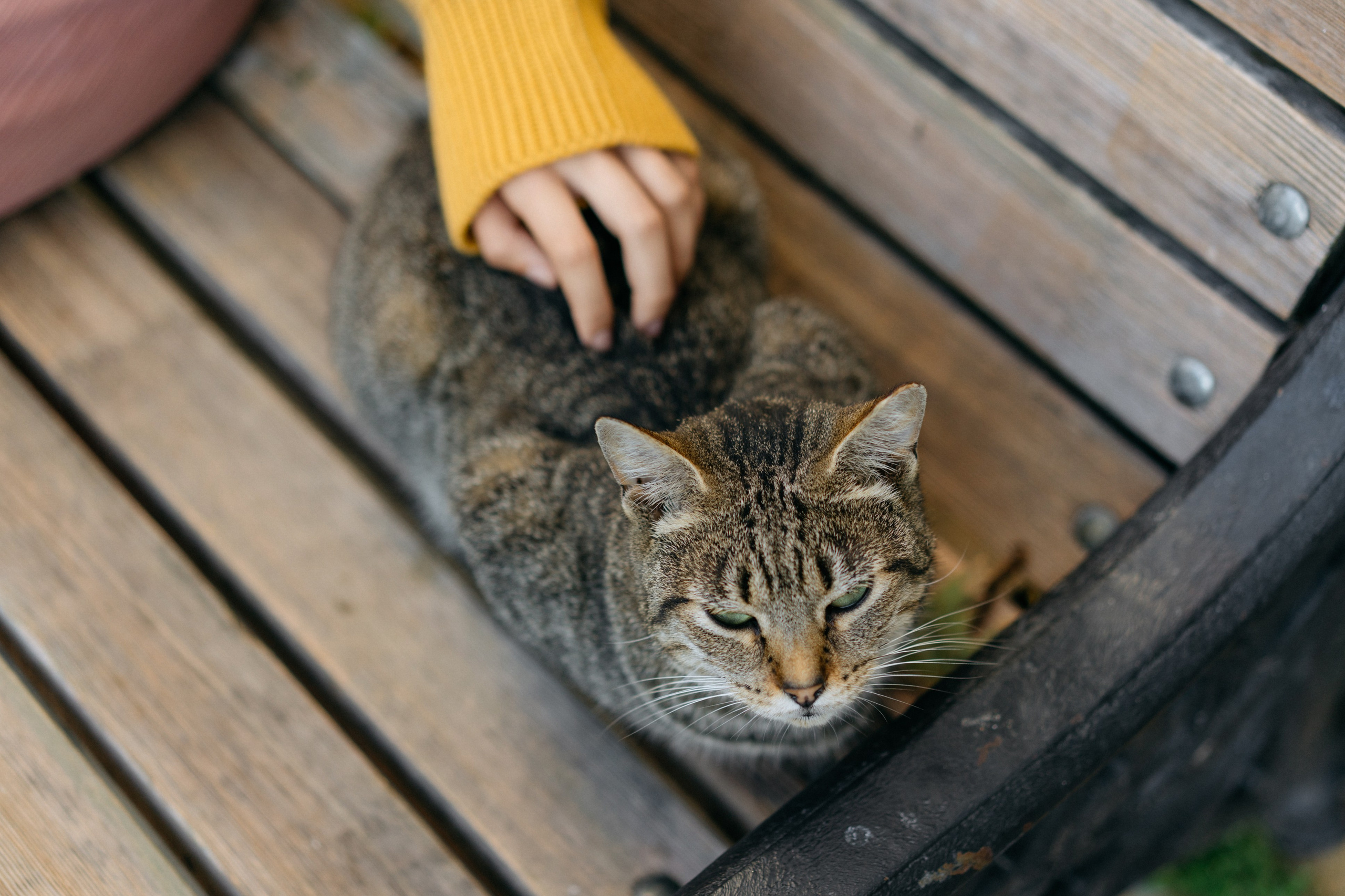 Зеленоградск. Свадебный и семейный фотограф в Калининграде Анастасия Гриценко