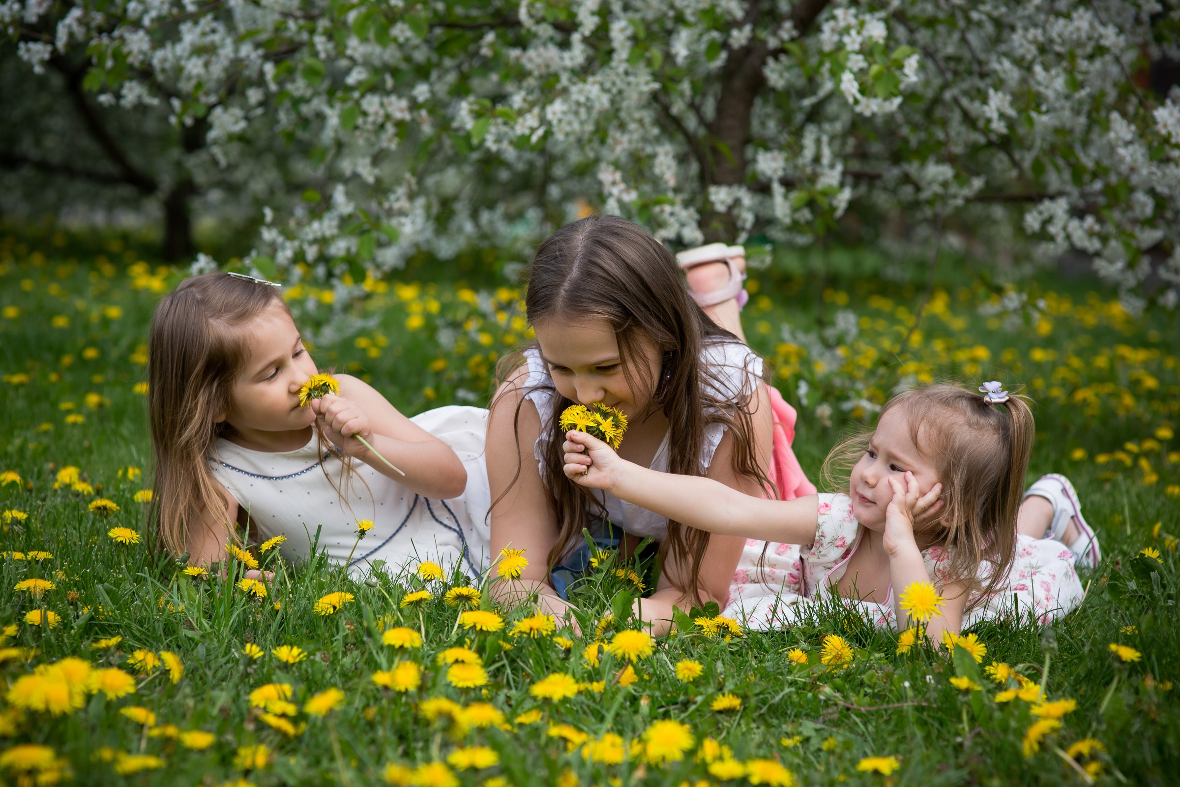Цветущие сады. Свадебная фотосъёмка в Москве, Туле