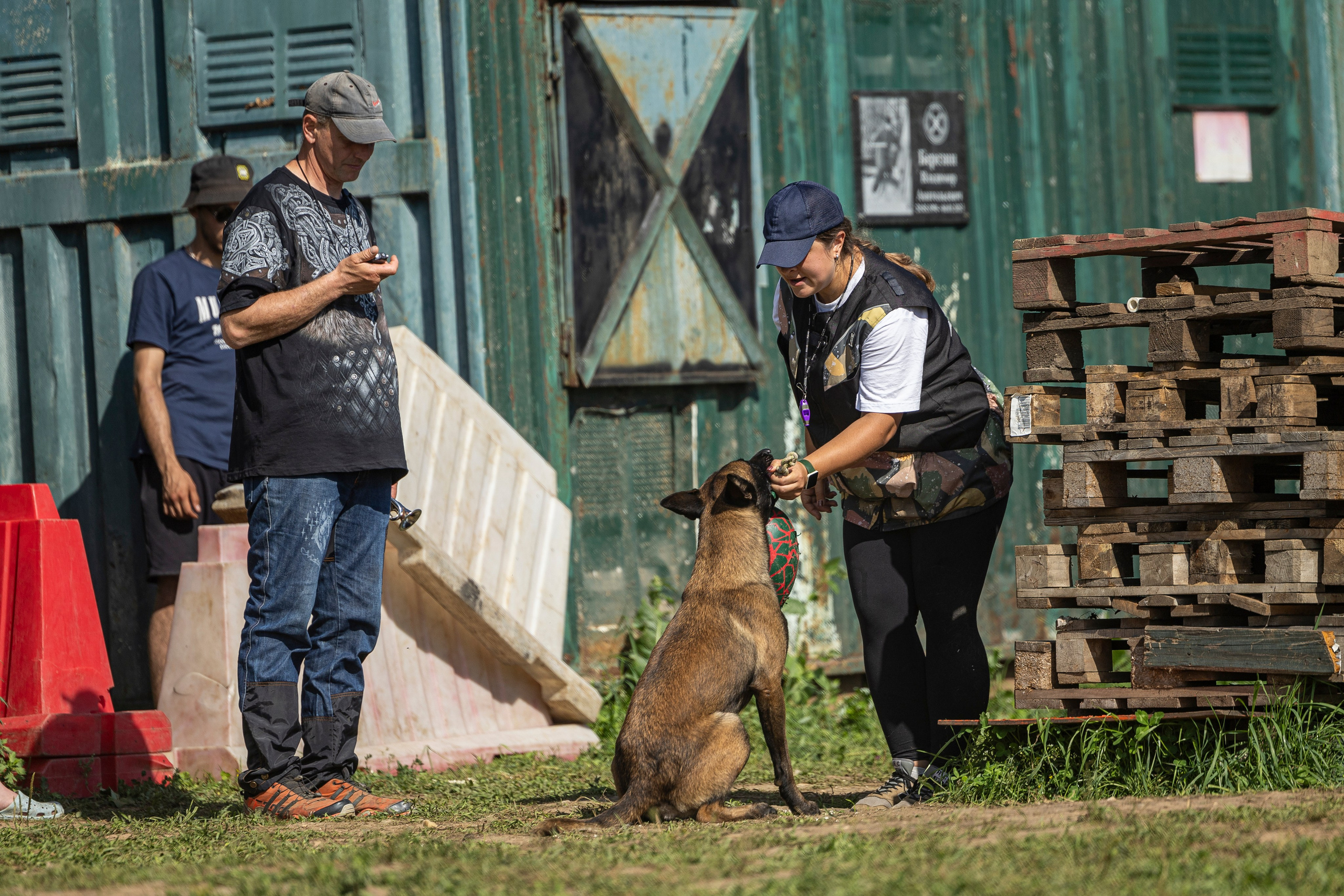 Соревнования по Мондьорингу г. Вологда 10-11.08.2024. Фотограф-анималист Анна Маринич