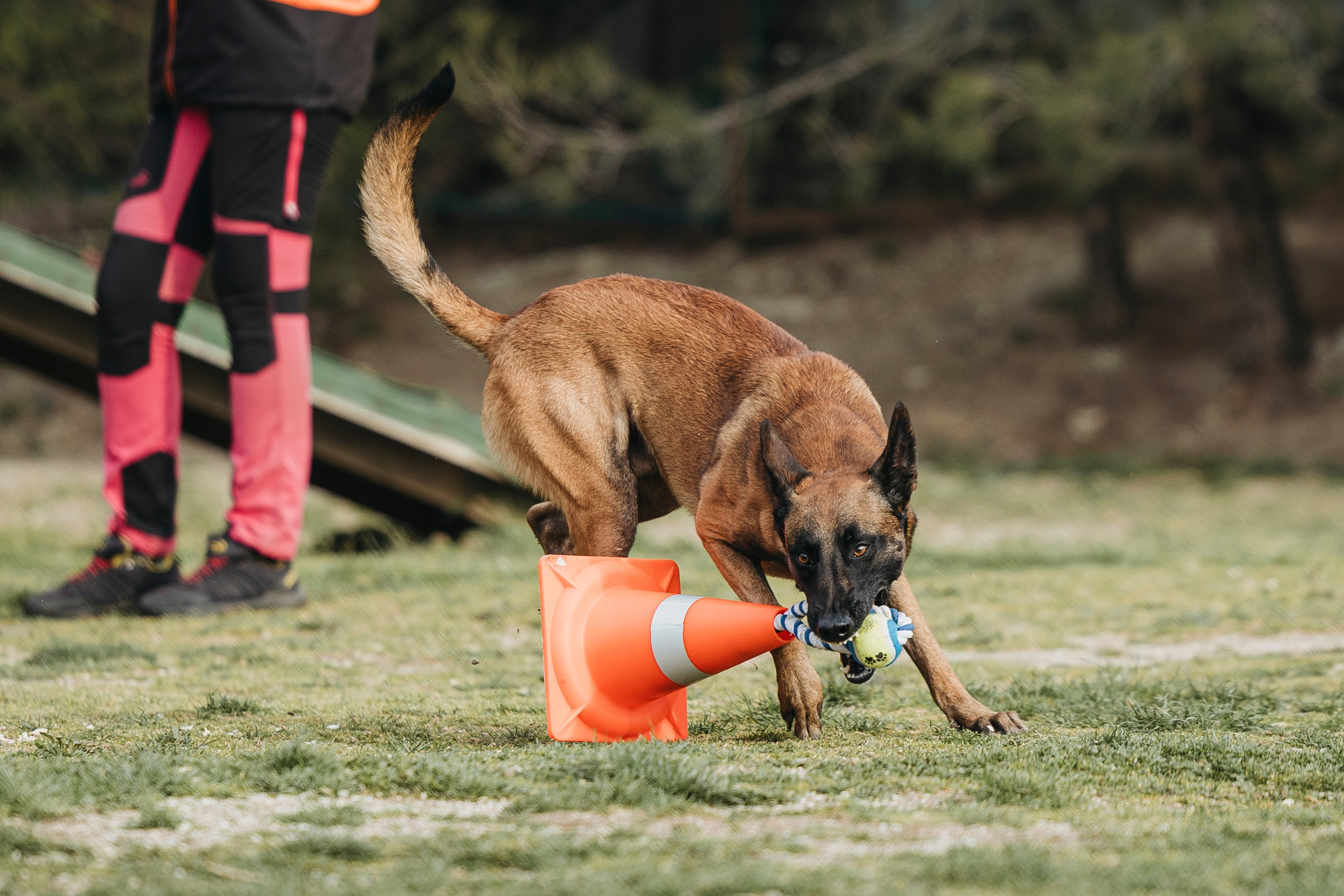 Геленджик Мондьоринг. Фотограф-анималист Анна Маринич