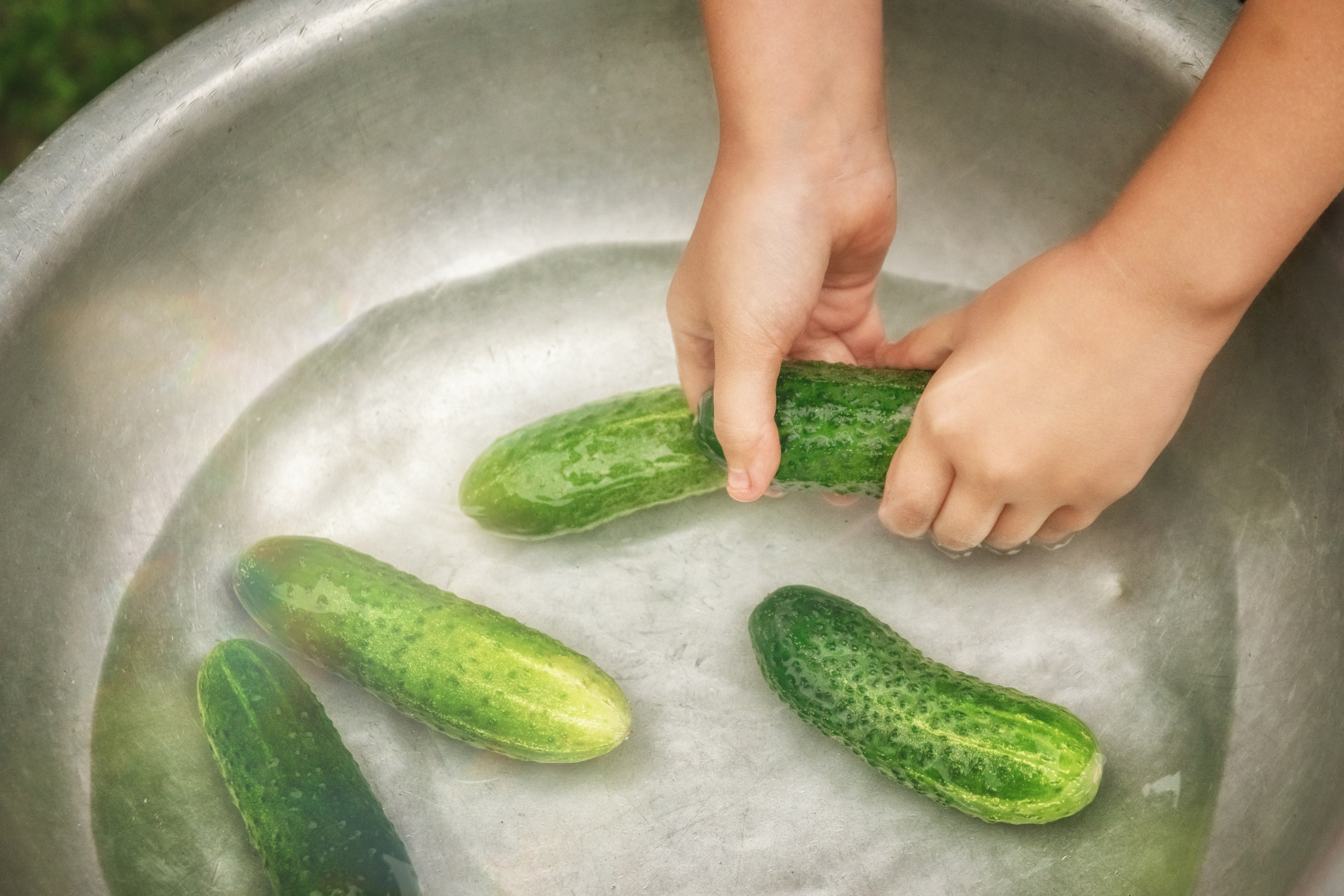 Огуречница. Детский и семейный фотограф Шклов, Могилев и вся Беларусь
