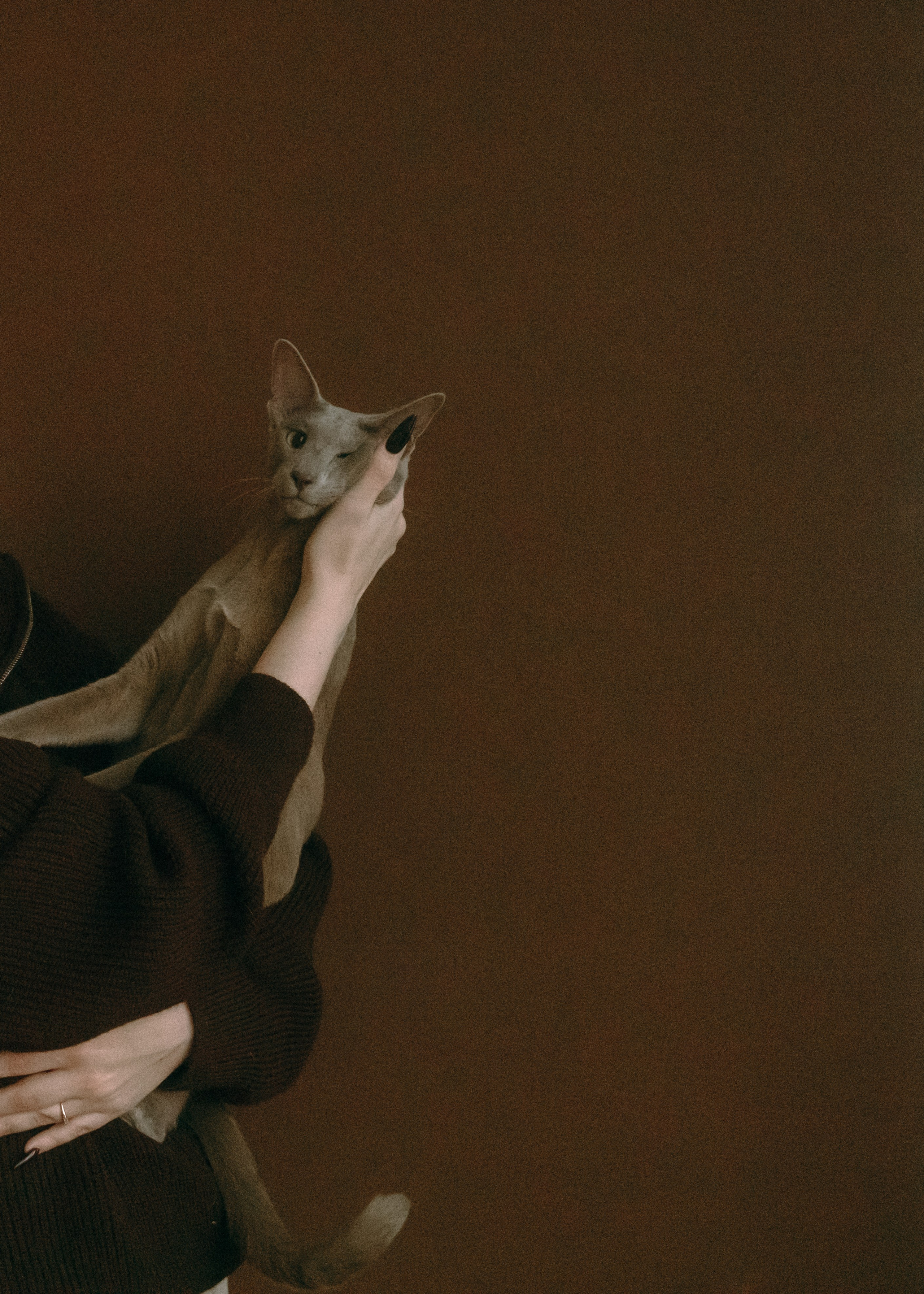 Амина, Булат и Орион. Фотограф-анималист Ксения Воробьева, Москва