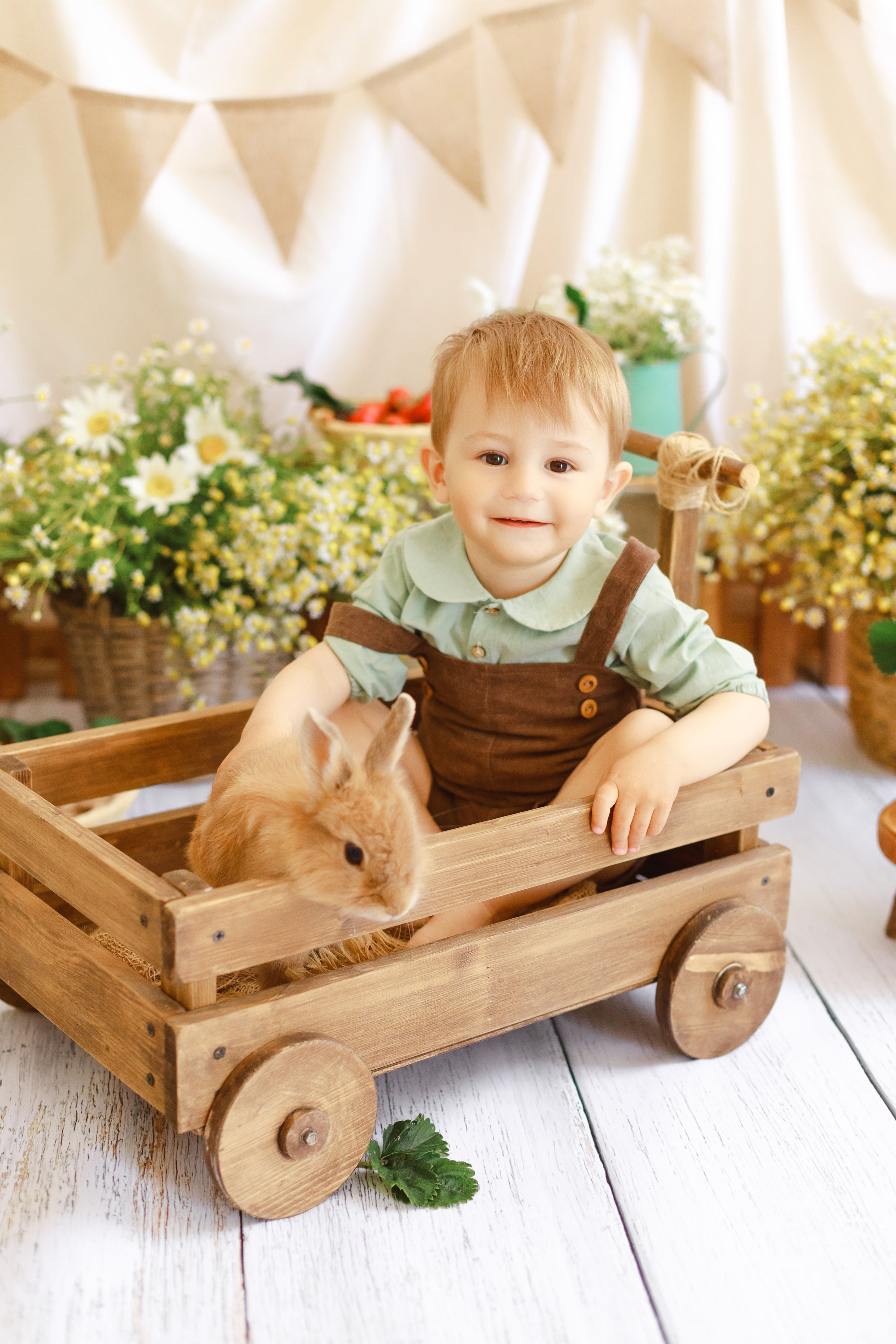 Ян и клубничка. Детский и семейный фотограф в Краснодаре Альбина Морозова