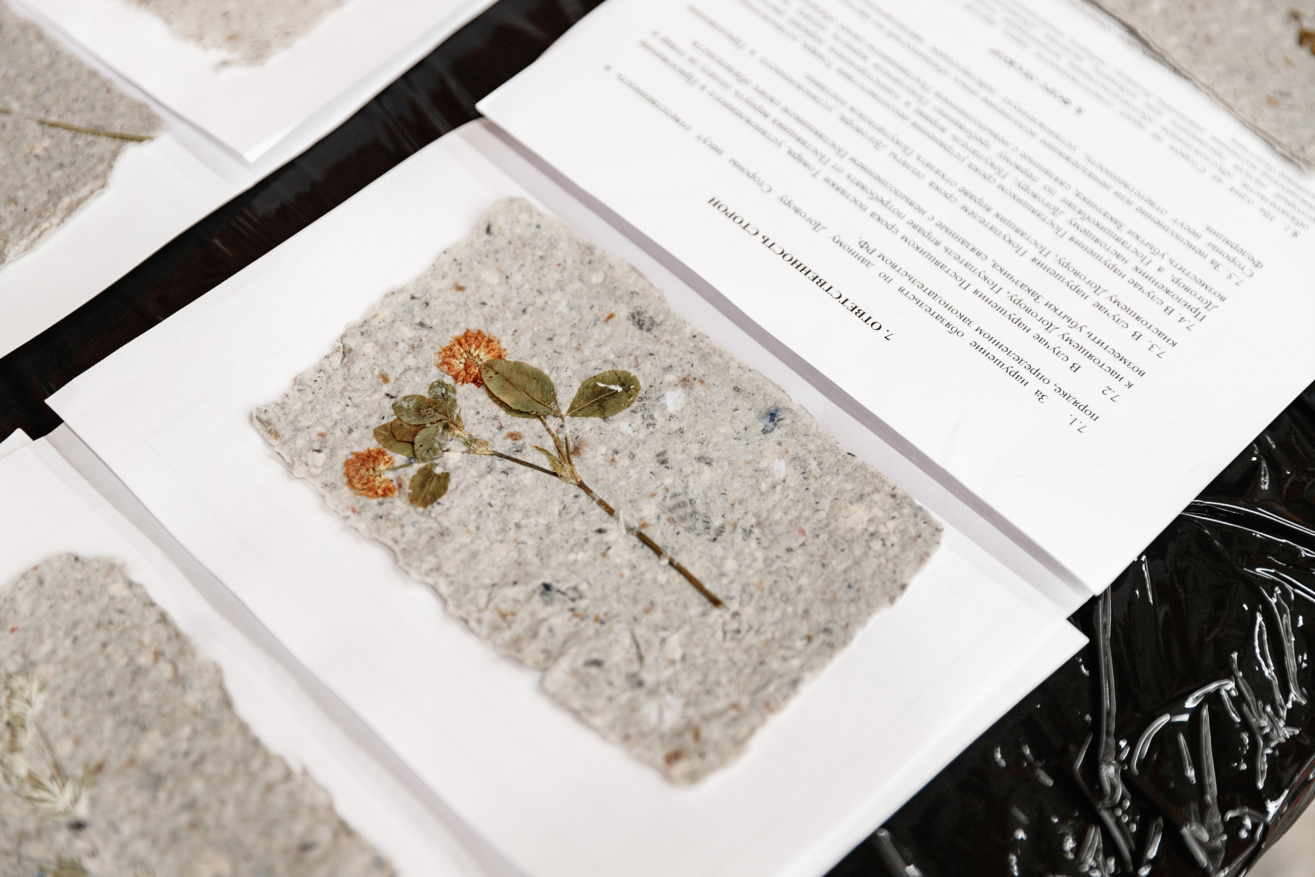 День рождения "Маяк". Фотограф Захваткин Роман