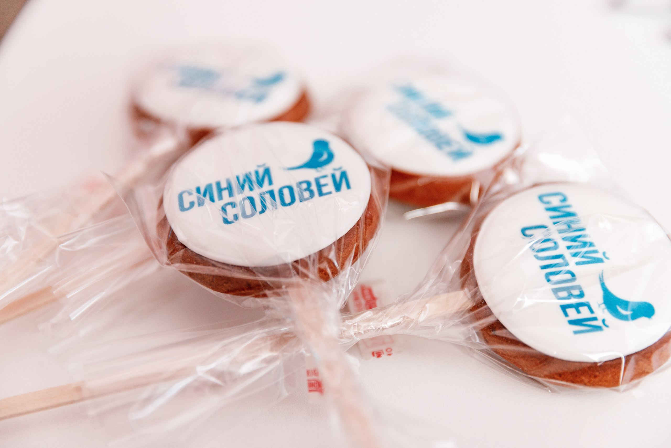 Открытый урок в музыкальной школе «Синий Соловей». Фотограф Захваткин Роман