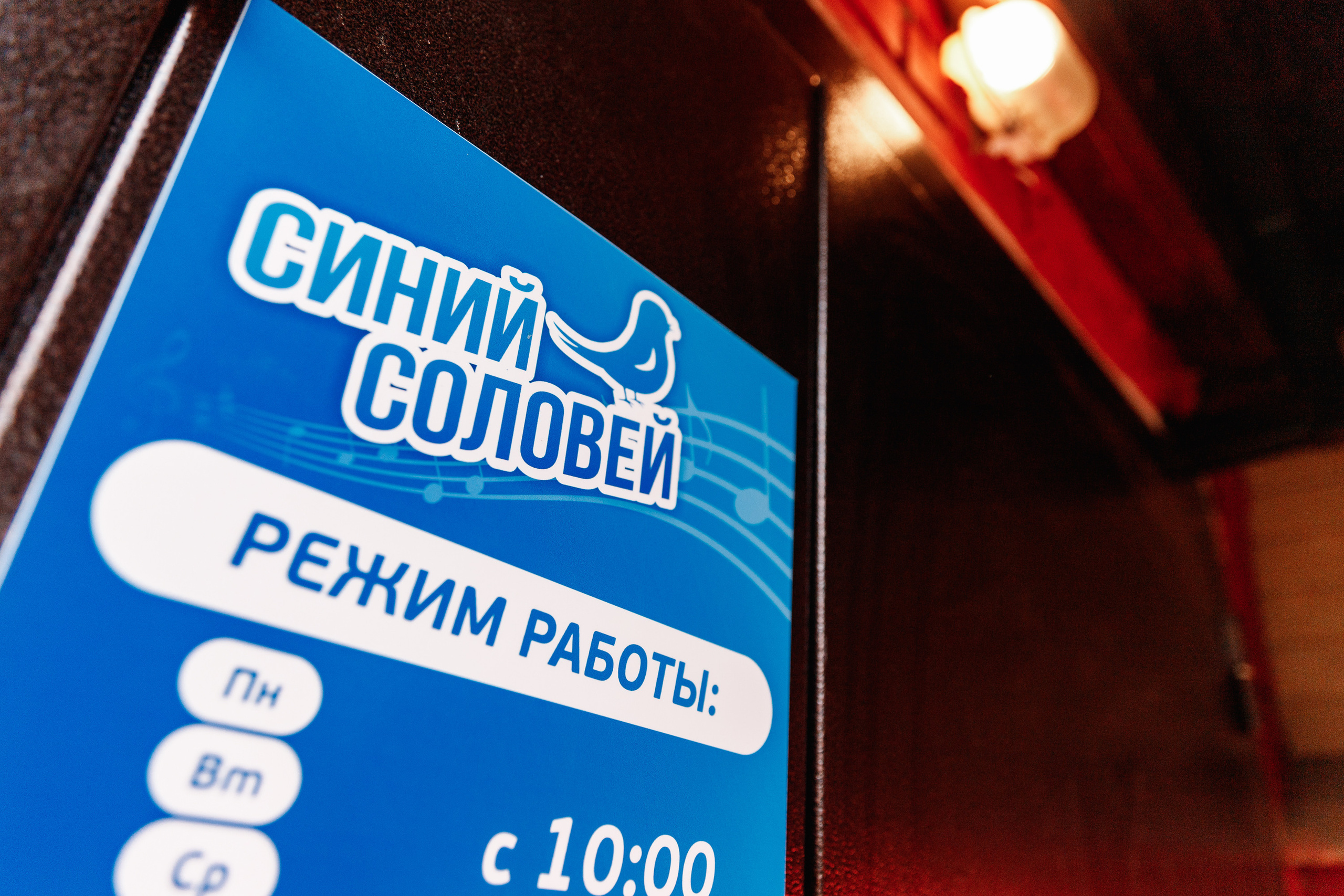 Открытый урок в музыкальной школе «Синий Соловей». Фотограф Захваткин Роман