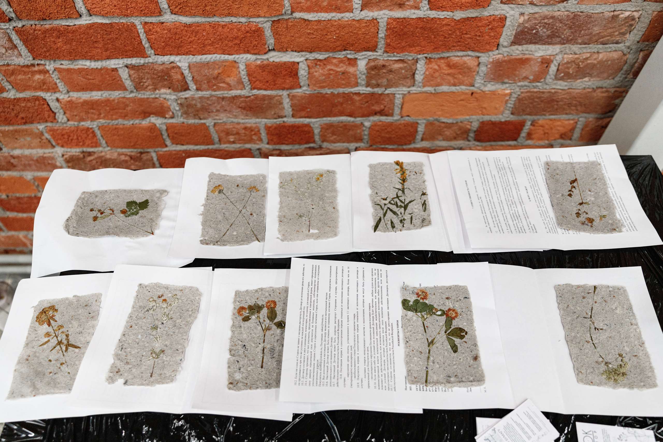 День рождения "Маяк". Фотограф Захваткин Роман