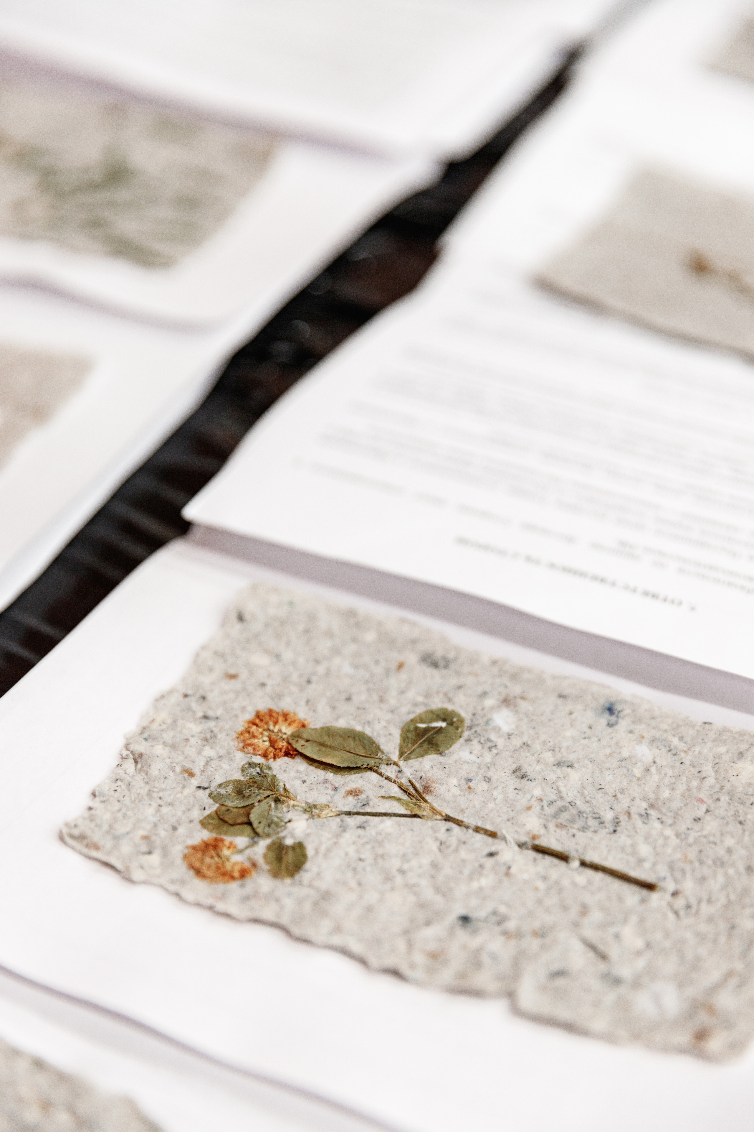 День рождения "Маяк". Фотограф Захваткин Роман