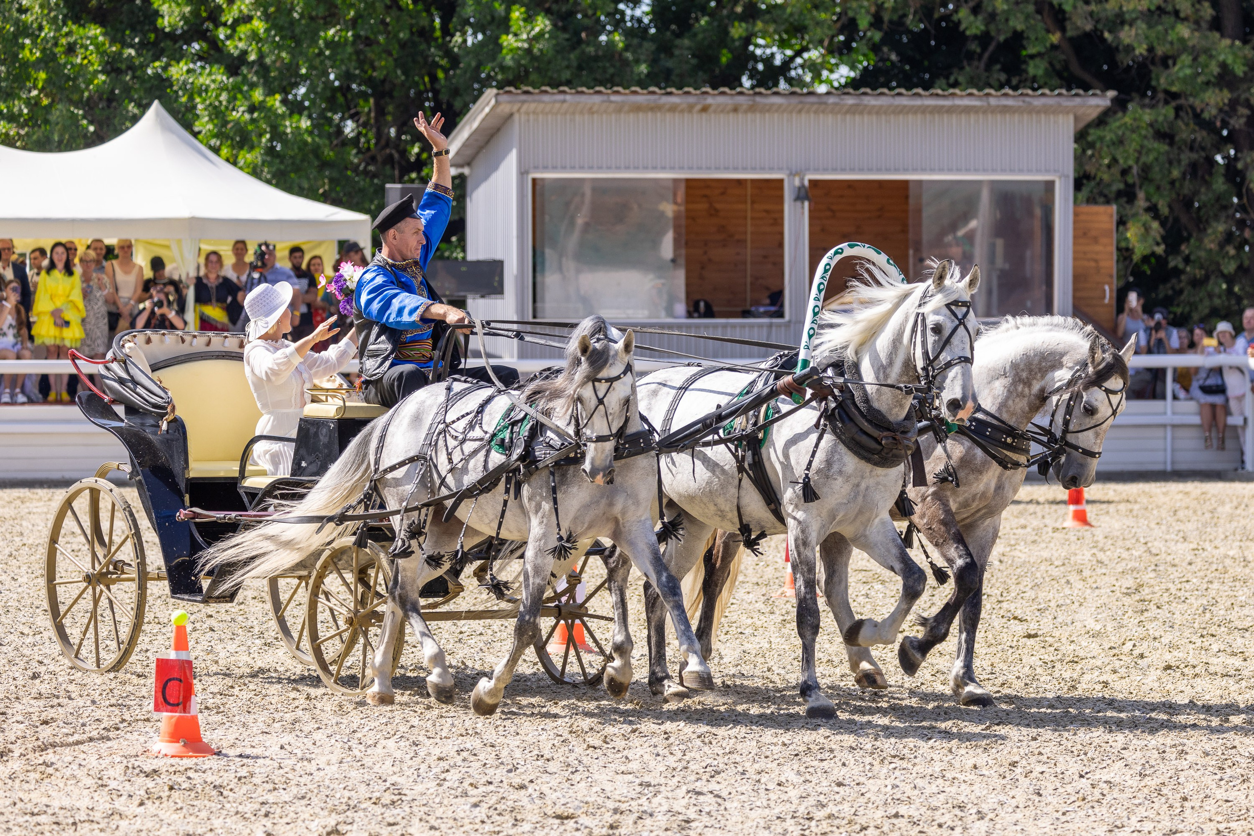 Конные выставки. Mrs.Aquarelia Конный фотограф Марианна Леонтьева