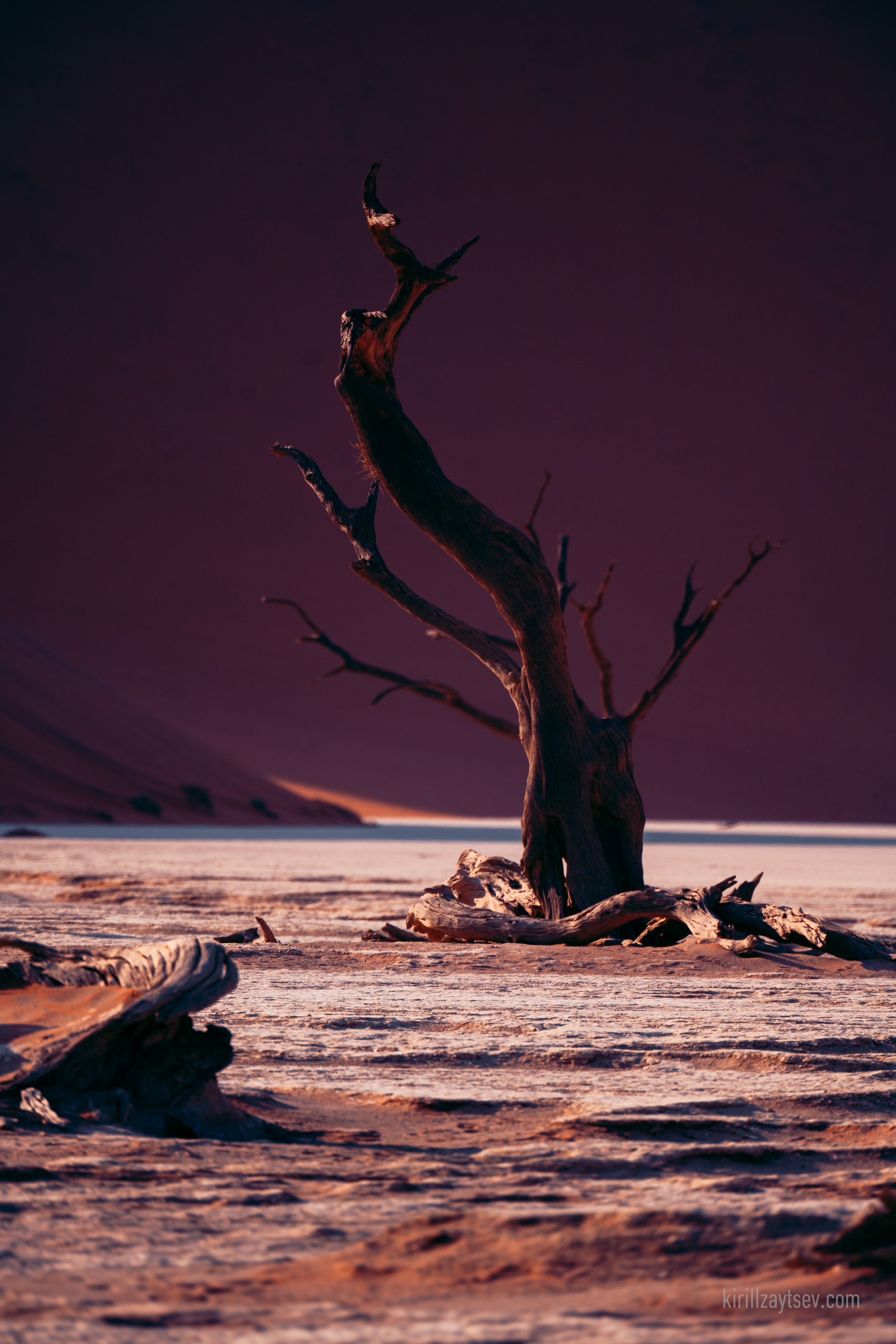 Жизнь. Профессиональный фотограф Кирилл Зайцев