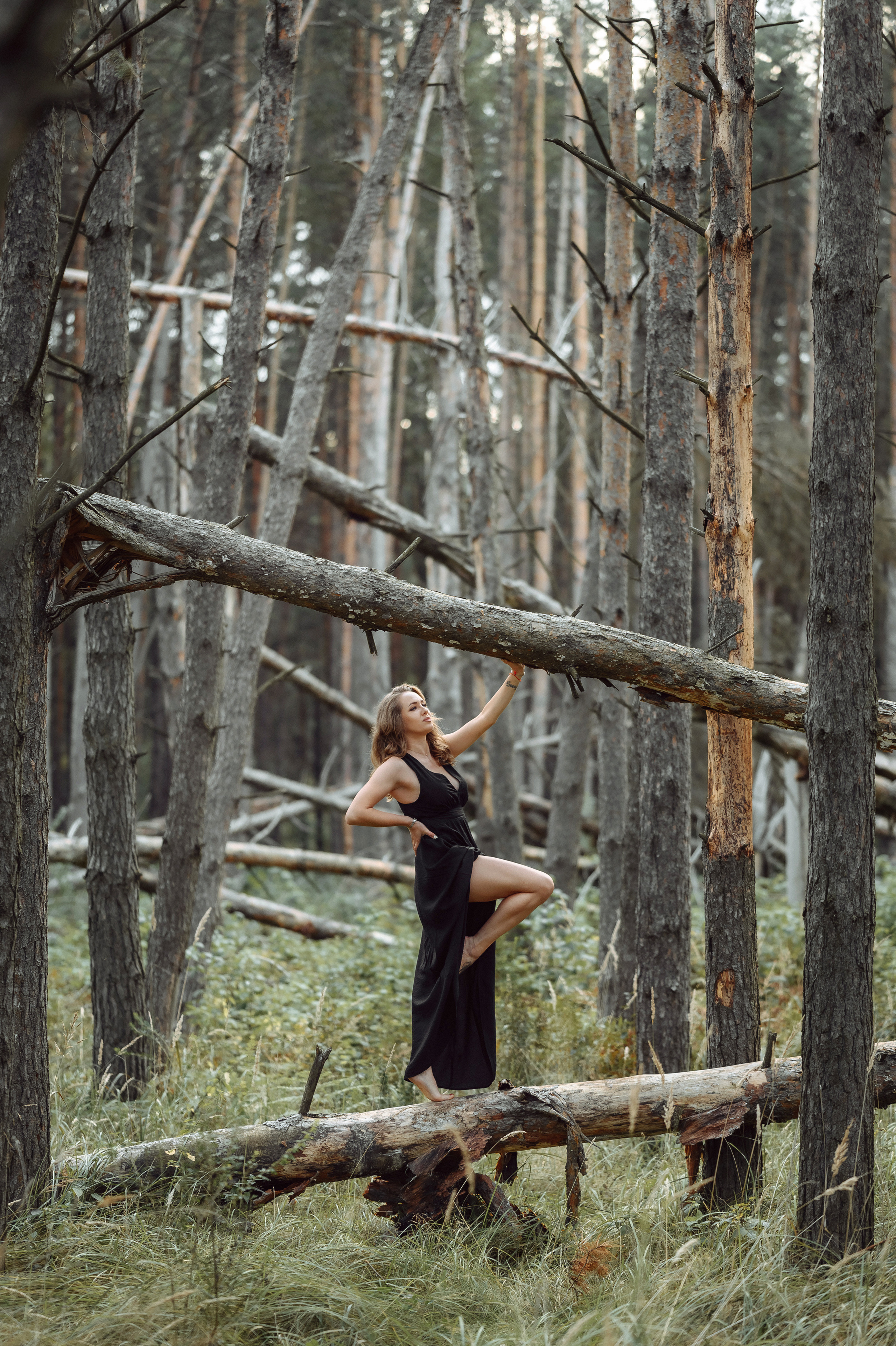 Фотосессии. Свадебный фотограф Данилин Сергей