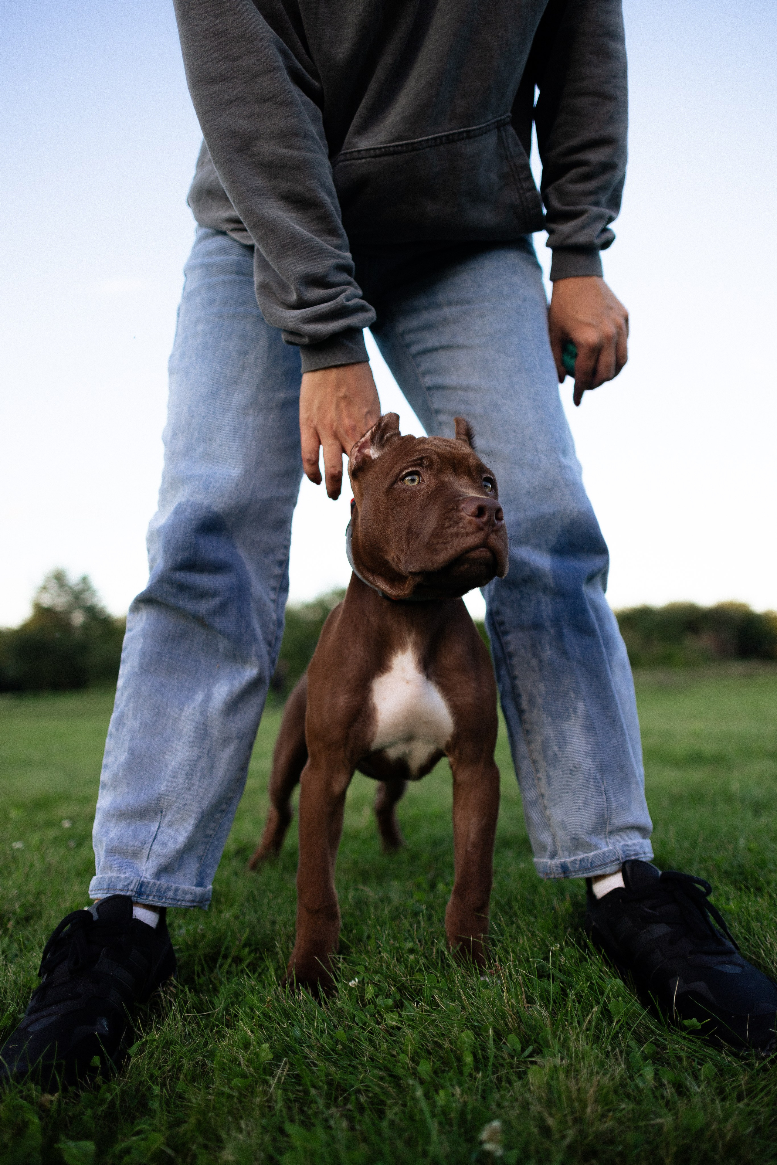 Елена и Хан. Фотограф и видеограф анималист Аганина Дарья