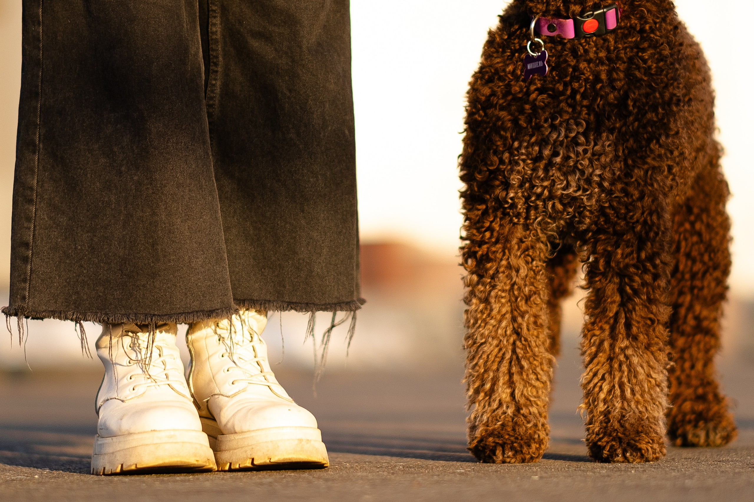 Тьеринна и Миша. Фотограф и видеограф анималист Аганина Дарья