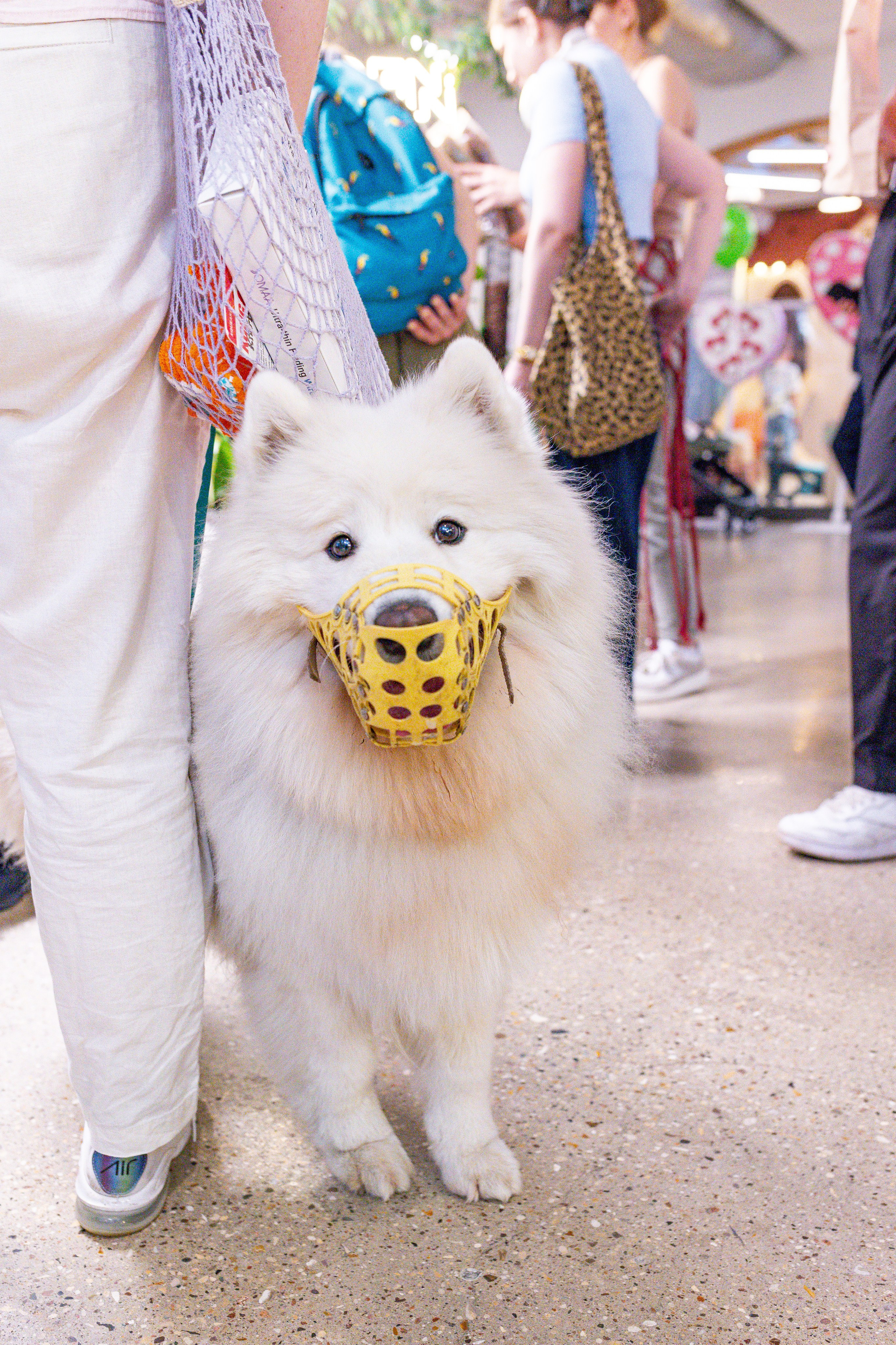 Growbox 5лет. Александра Куликова фотограф, Москва