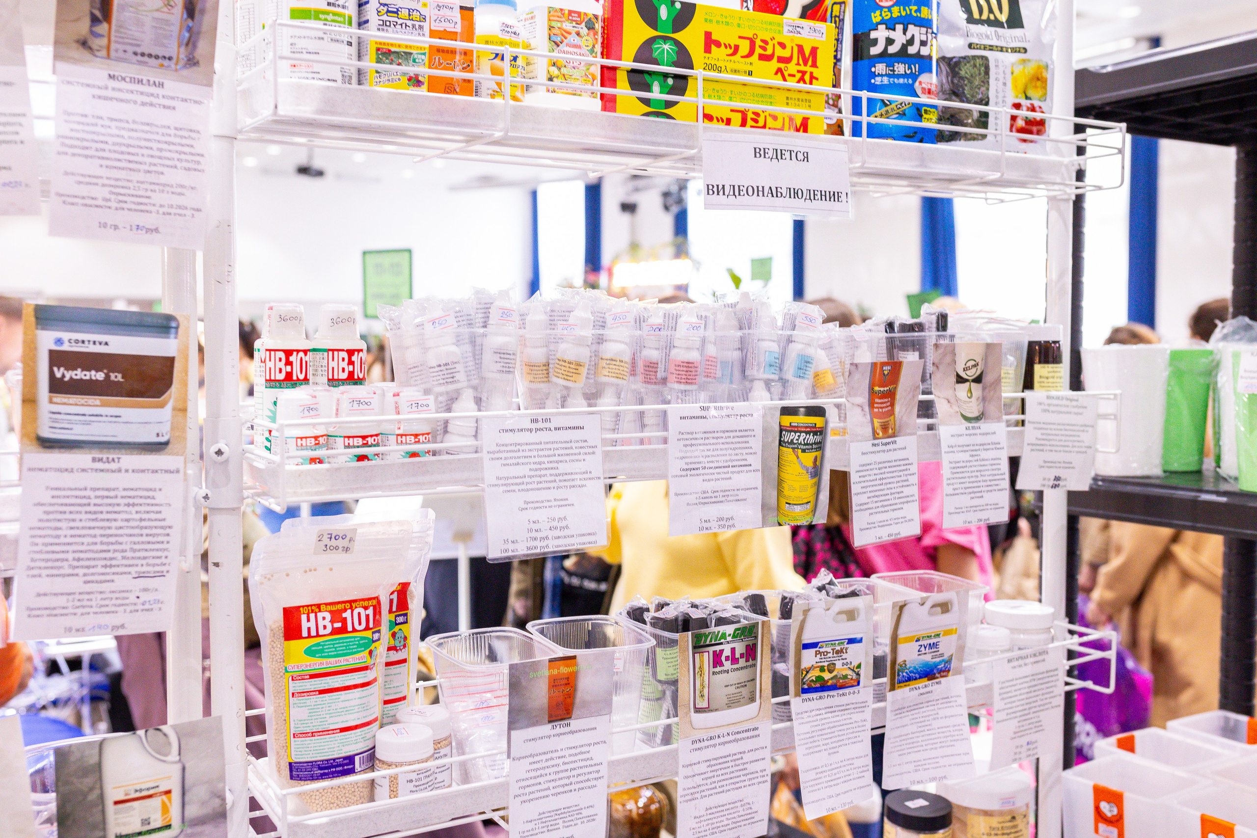 Монстериум 11–12 октября. Александра Куликова фотограф, Москва