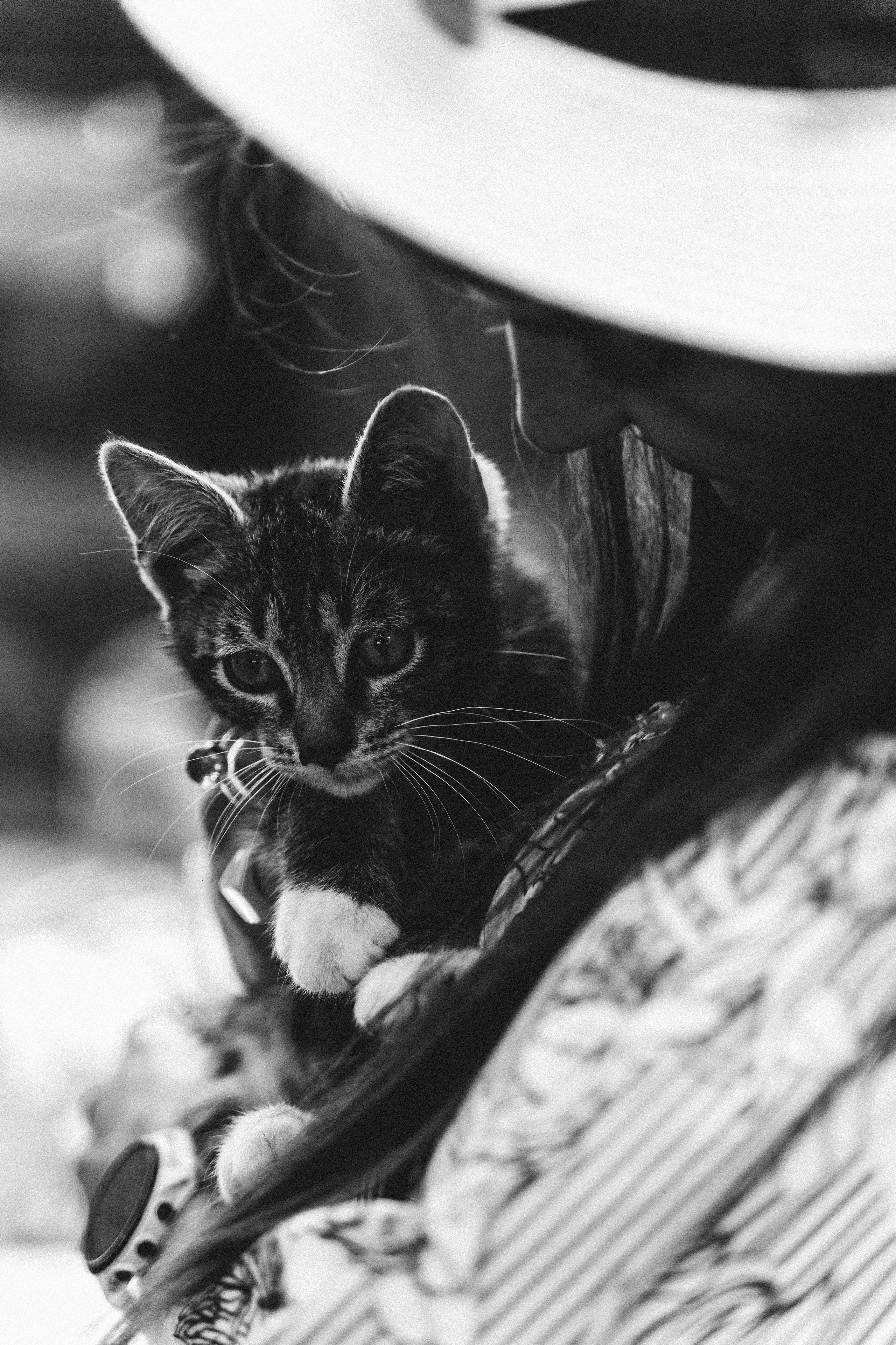 СИЛА ВЕТРА х КРАСОТА БРАНЧА. Миша Снимет | твой фотограф