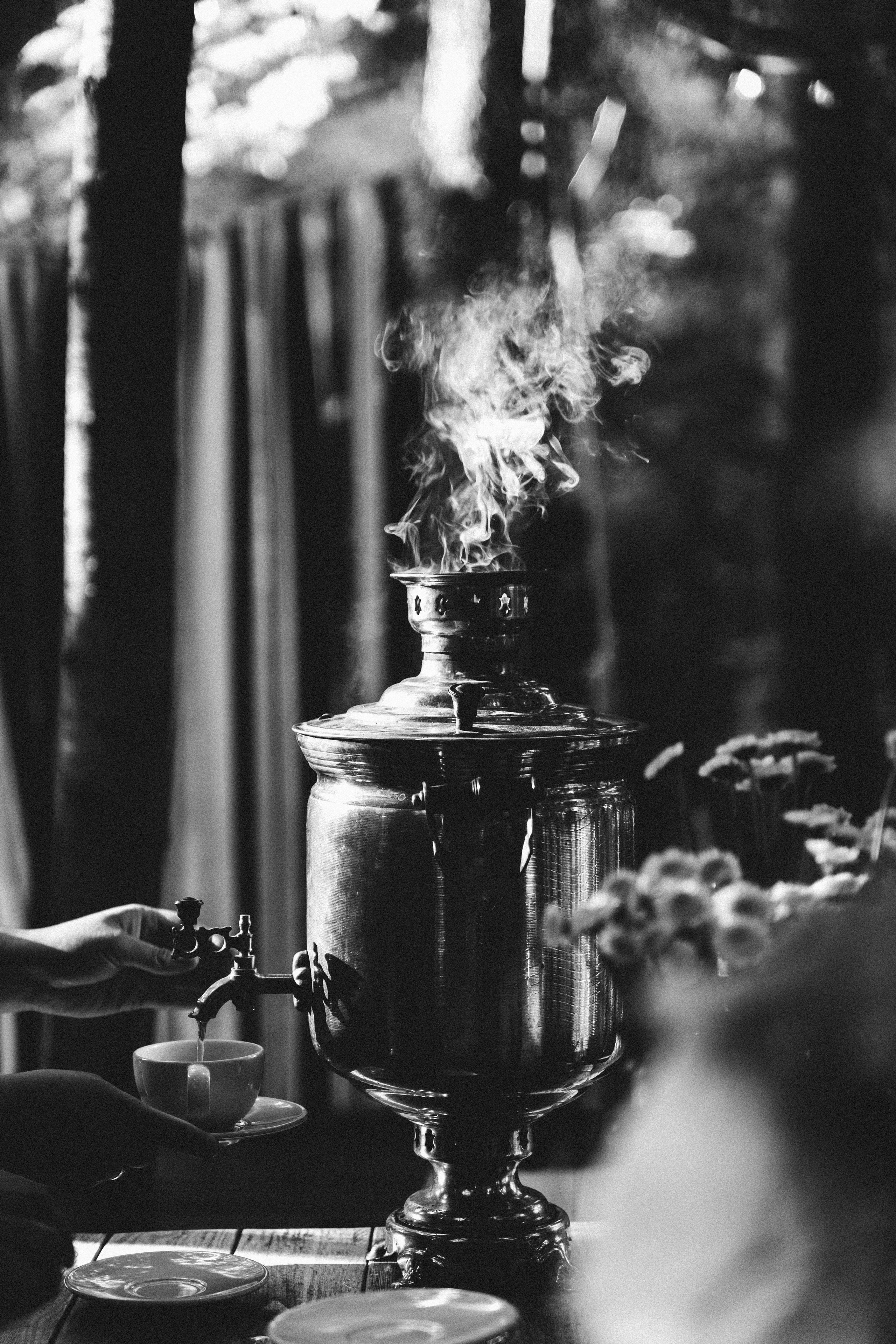 СИЛА ВЕТРА х КРАСОТА БРАНЧА. Миша Снимет | твой фотограф