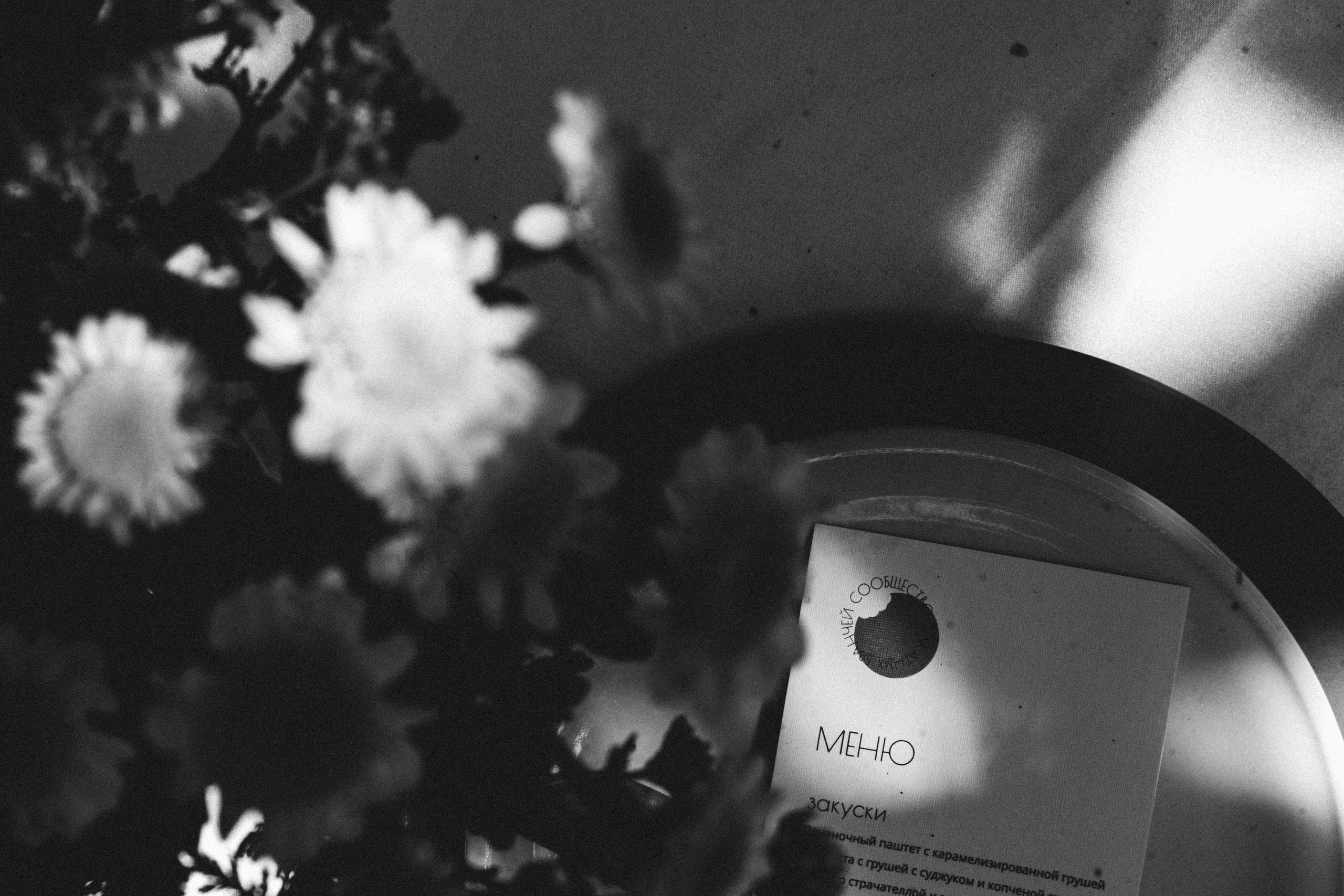 СИЛА ВЕТРА х КРАСОТА БРАНЧА. Миша Снимет | твой фотограф