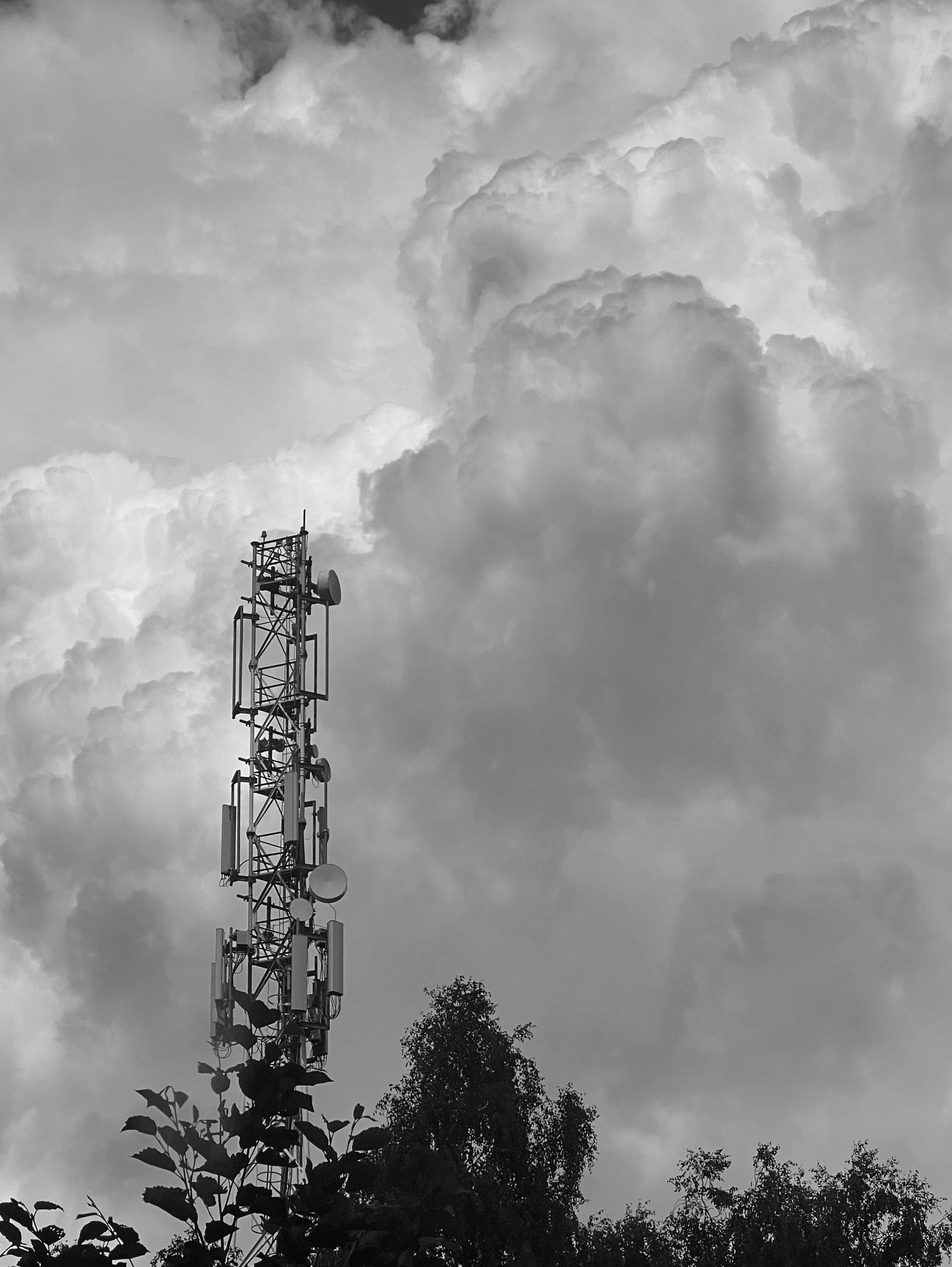 Head in the clouds / Витать в облаках. Художник Катерина Копейкина / Artist Katerina Kopeikina