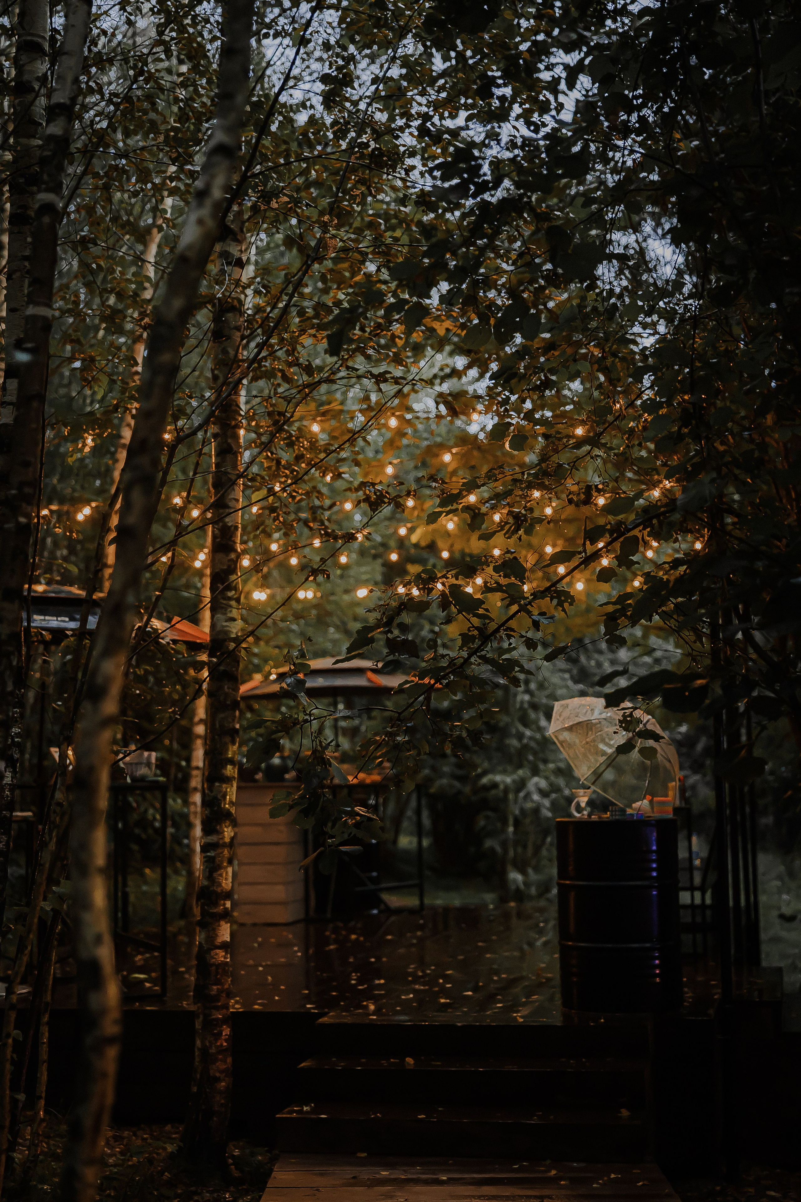 Александр и Арина. Свадебный и семейный фотограф Елизавета Ермак | Москва и МО