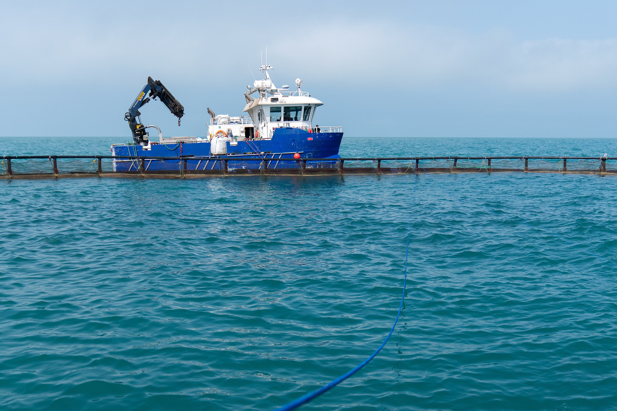 Репортажный фотограф в Сочи — профессиональная съёмка событий и мероприятий. Профессиональная фотосъемка в Сочи: репортаж, предметная, ювелирная фотосъемка, недвижимость, фуд-фотография. Фотограф Александр Афанасьев