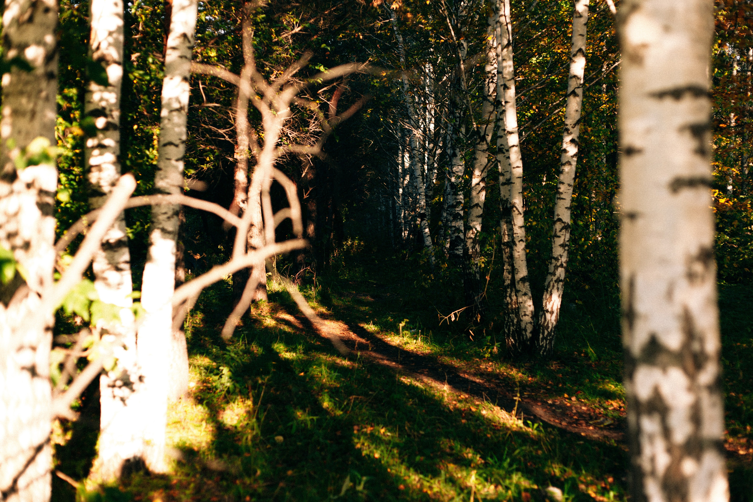 Хиппи. Единение с природой. Арт-фотограф Крис Л. в Тобольске: портрет, семейные, свадьбы