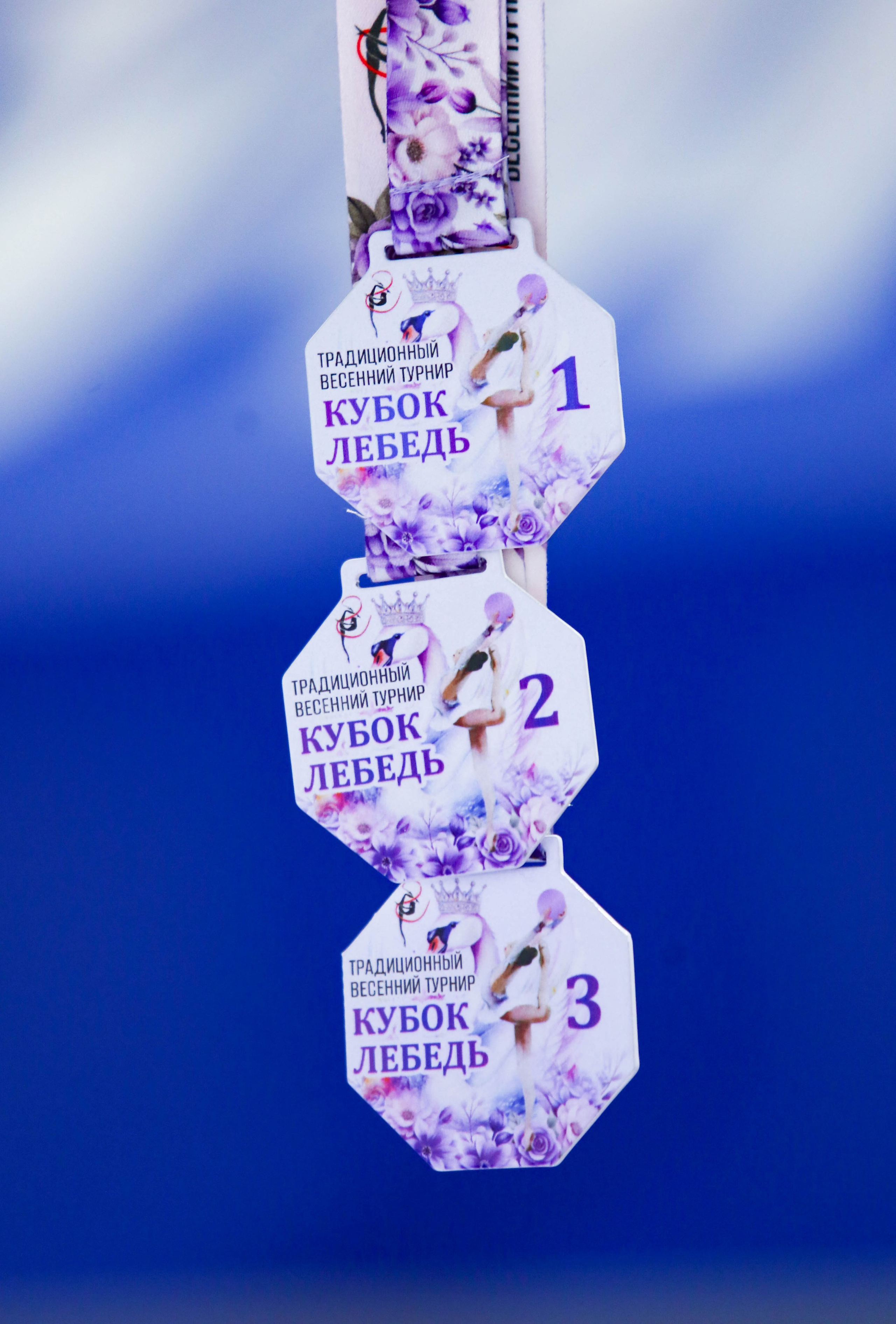 2026.03.17 Кубок Лебедя. RB-gymnastic