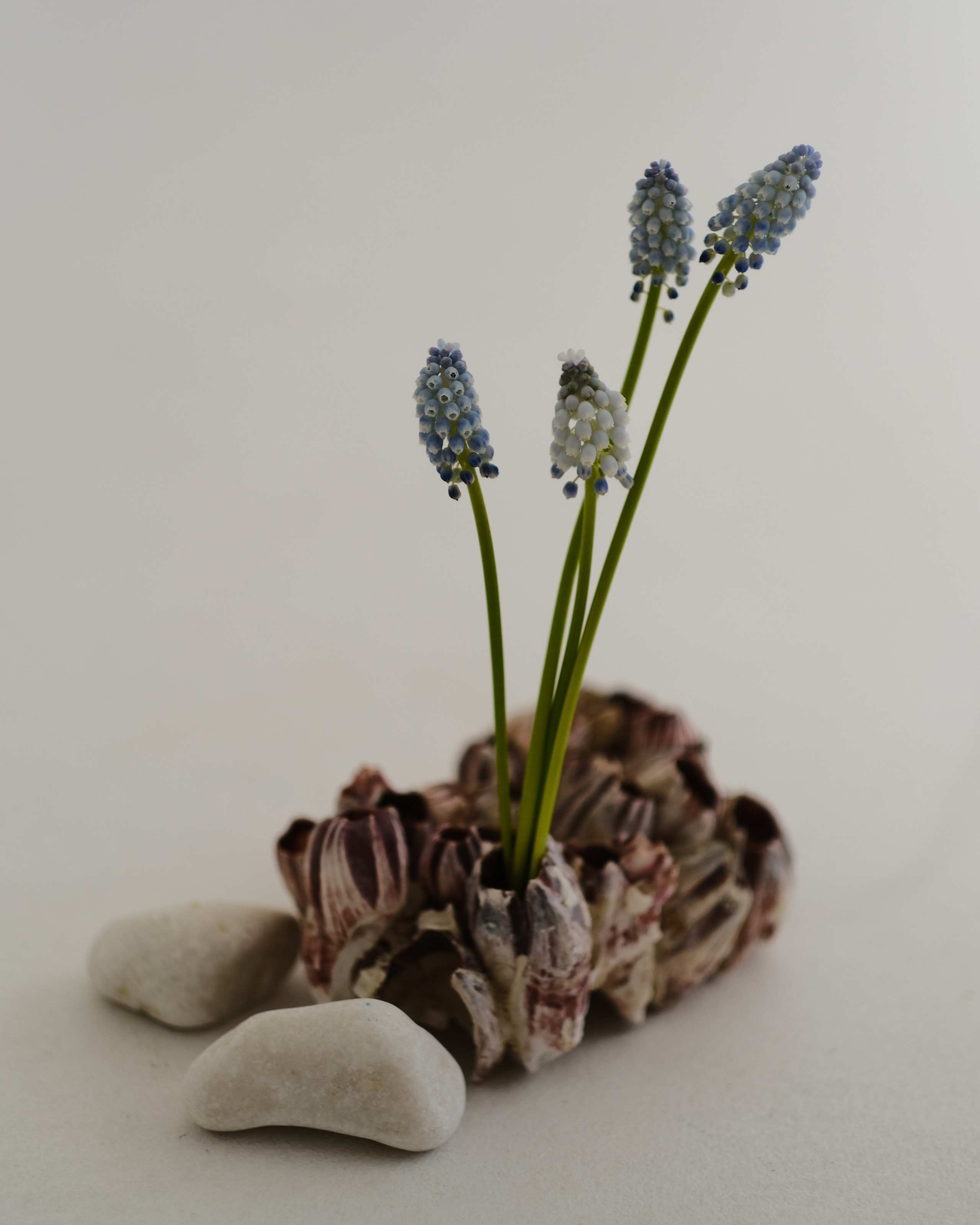 Творчество. Портретный и репортажный фотограф в Санкт-Петербурге Дарья Сибирякова