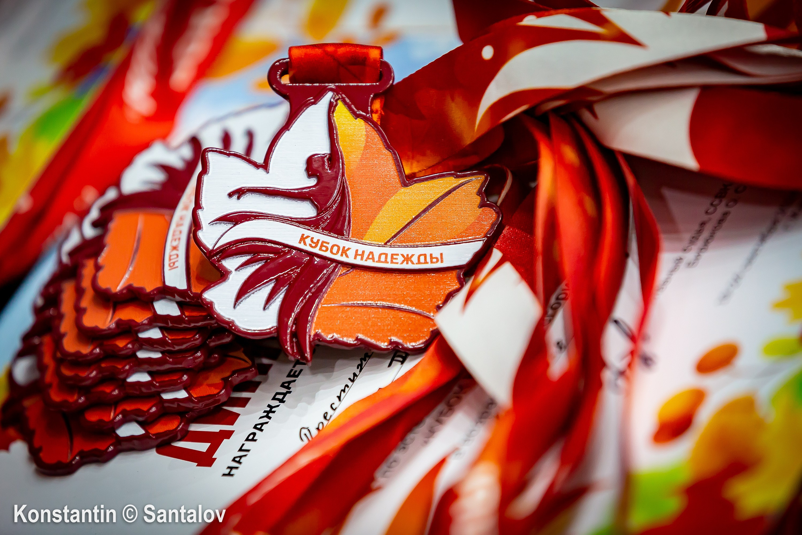 «Кубок Надежды» 2024, Ижевск. GYM-PHOTO. Спорт в кадре