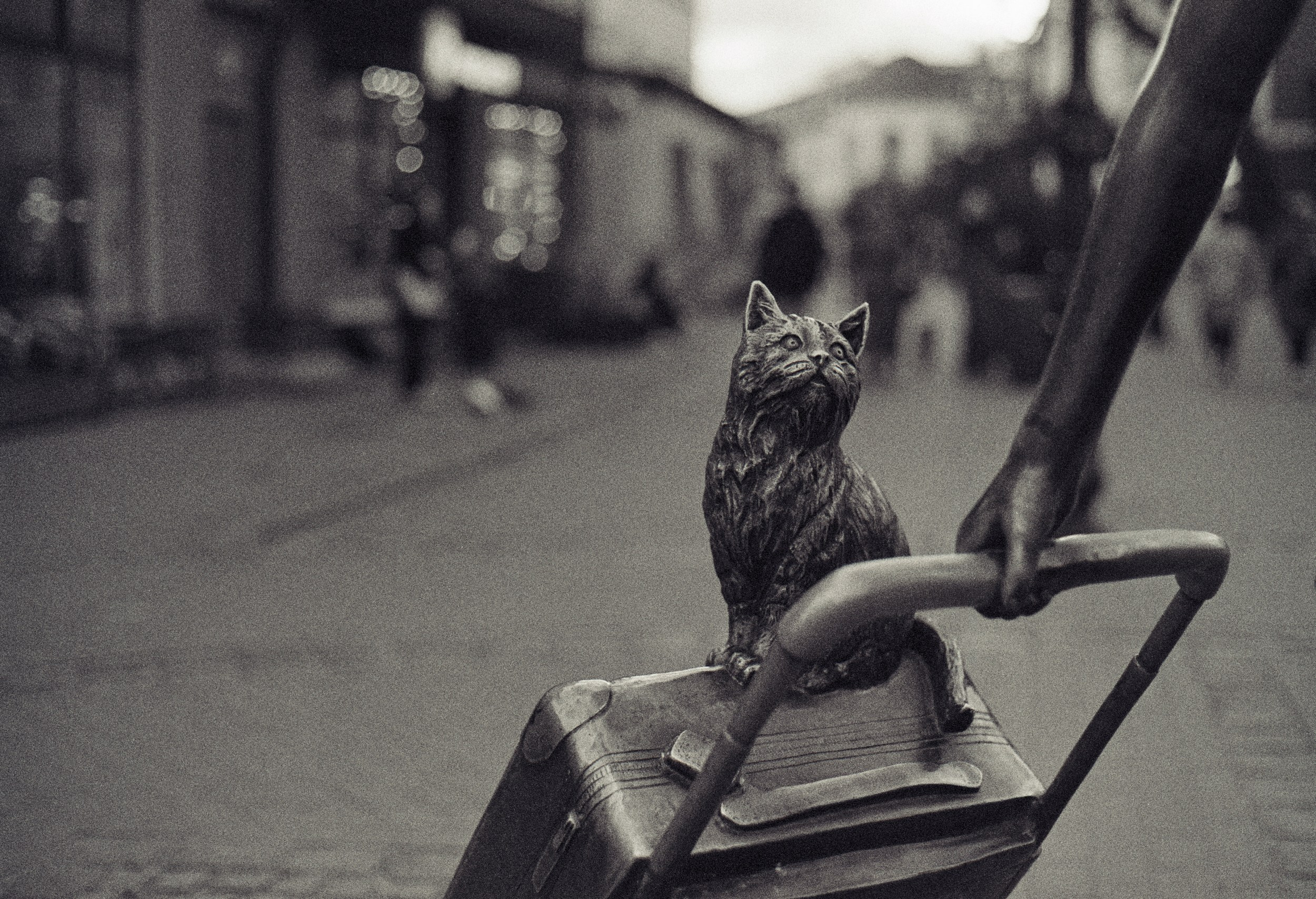 Other. Photographer in Kaliningrad