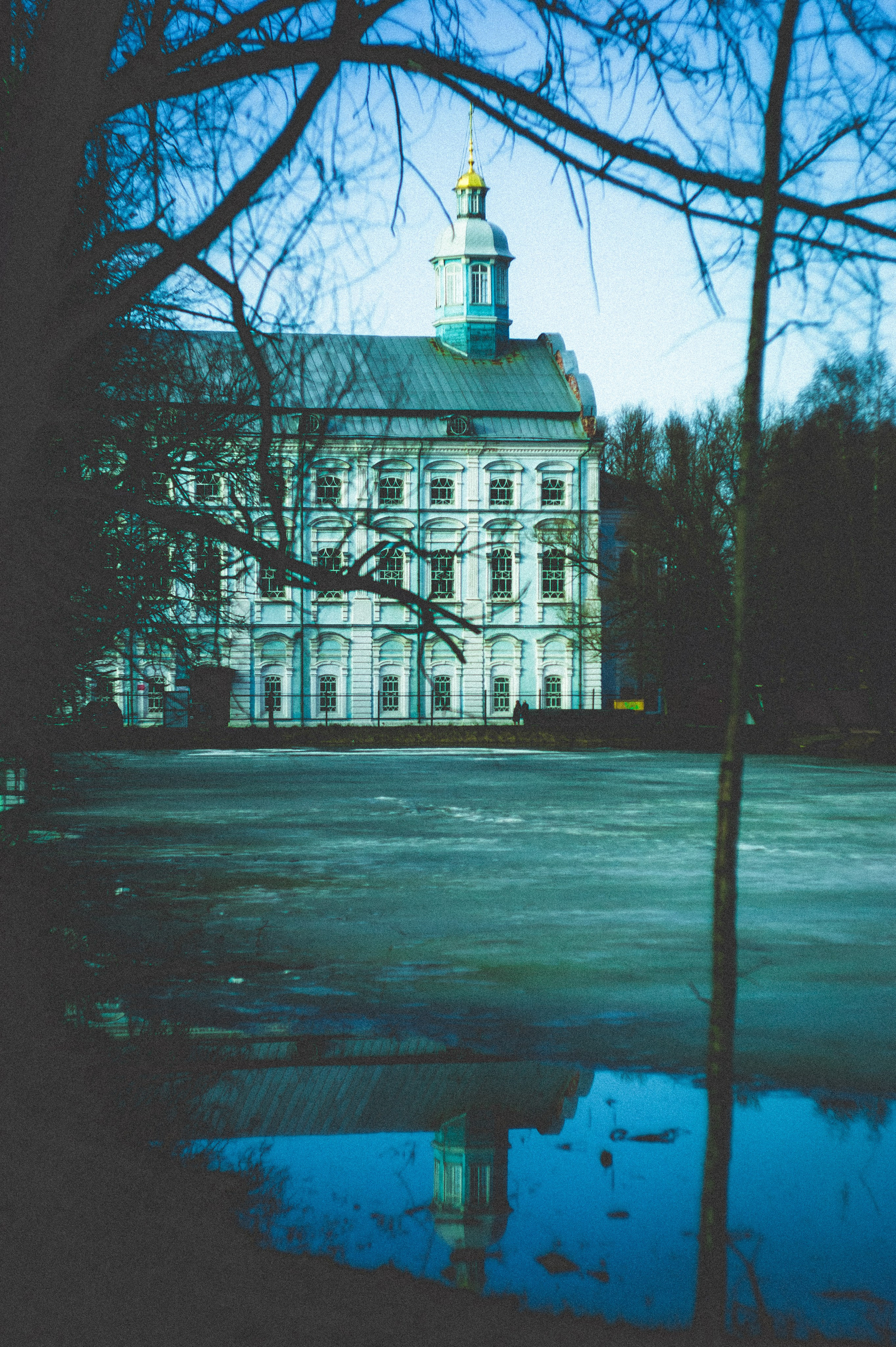 Kingdom. Den Mirov — Photographer, Musician