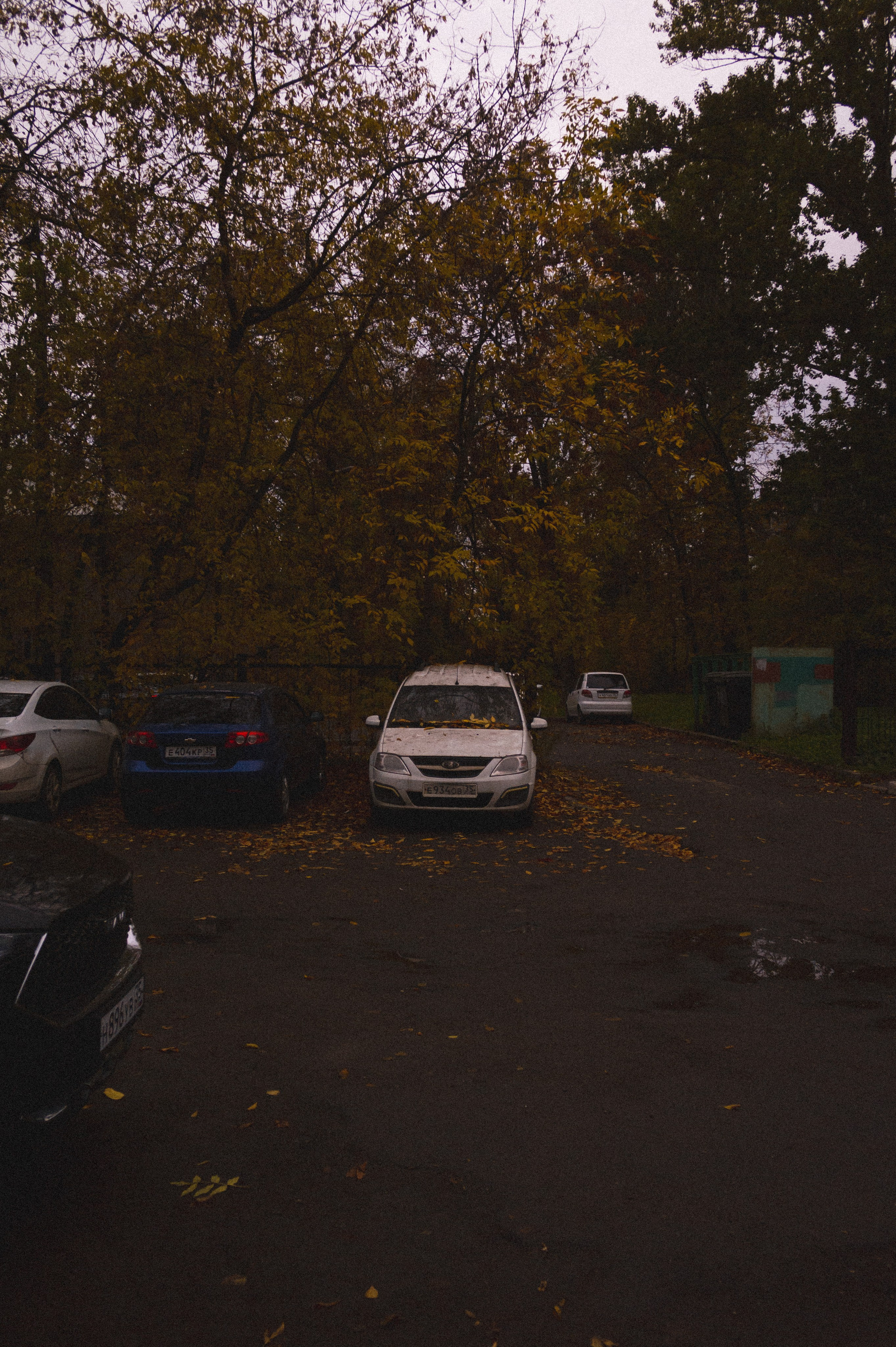 Октябрь 2025. Den Mirov — Фотограф, Музыкант