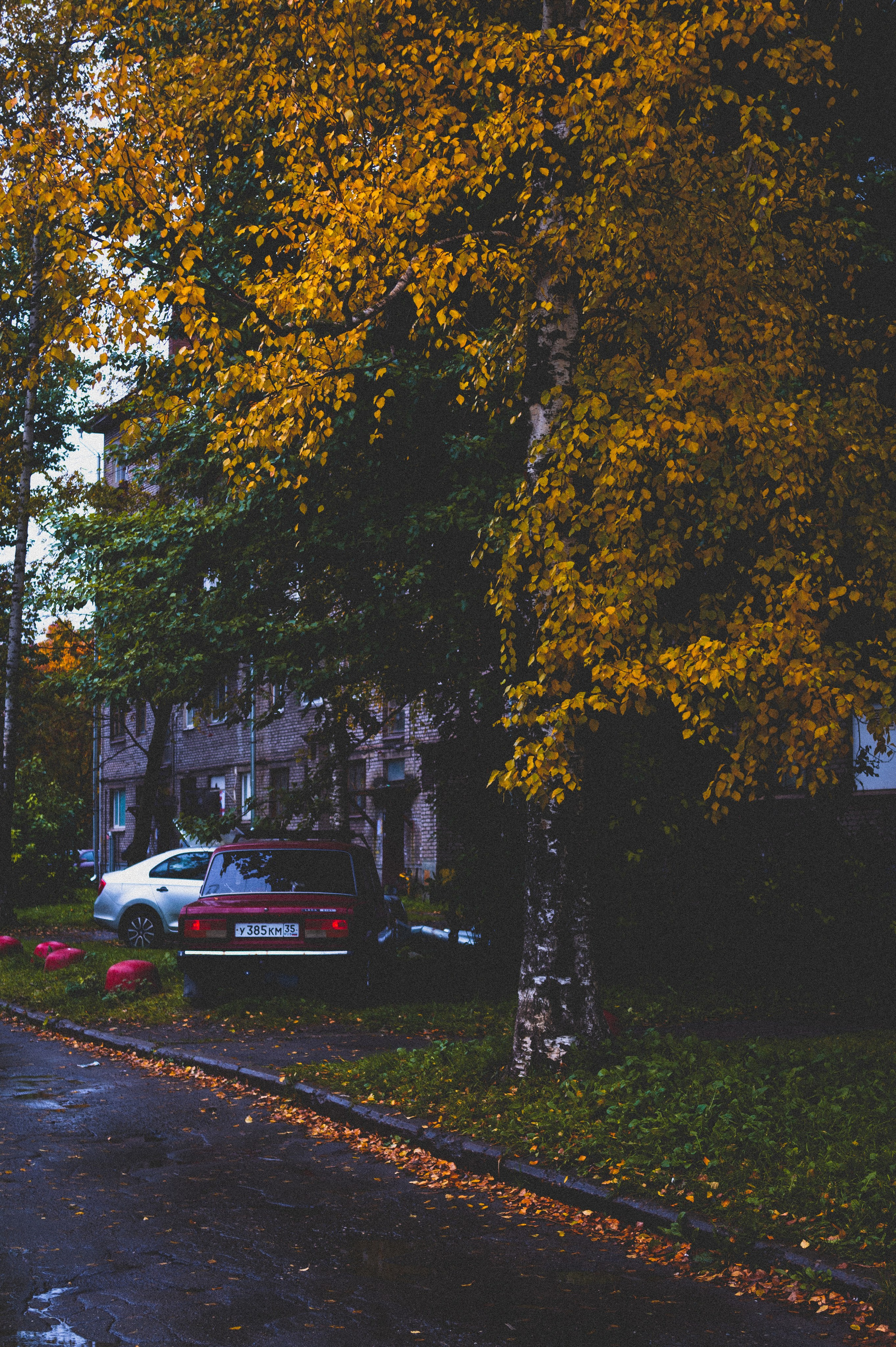 Октябрь 2025. Den Mirov — Фотограф, Музыкант