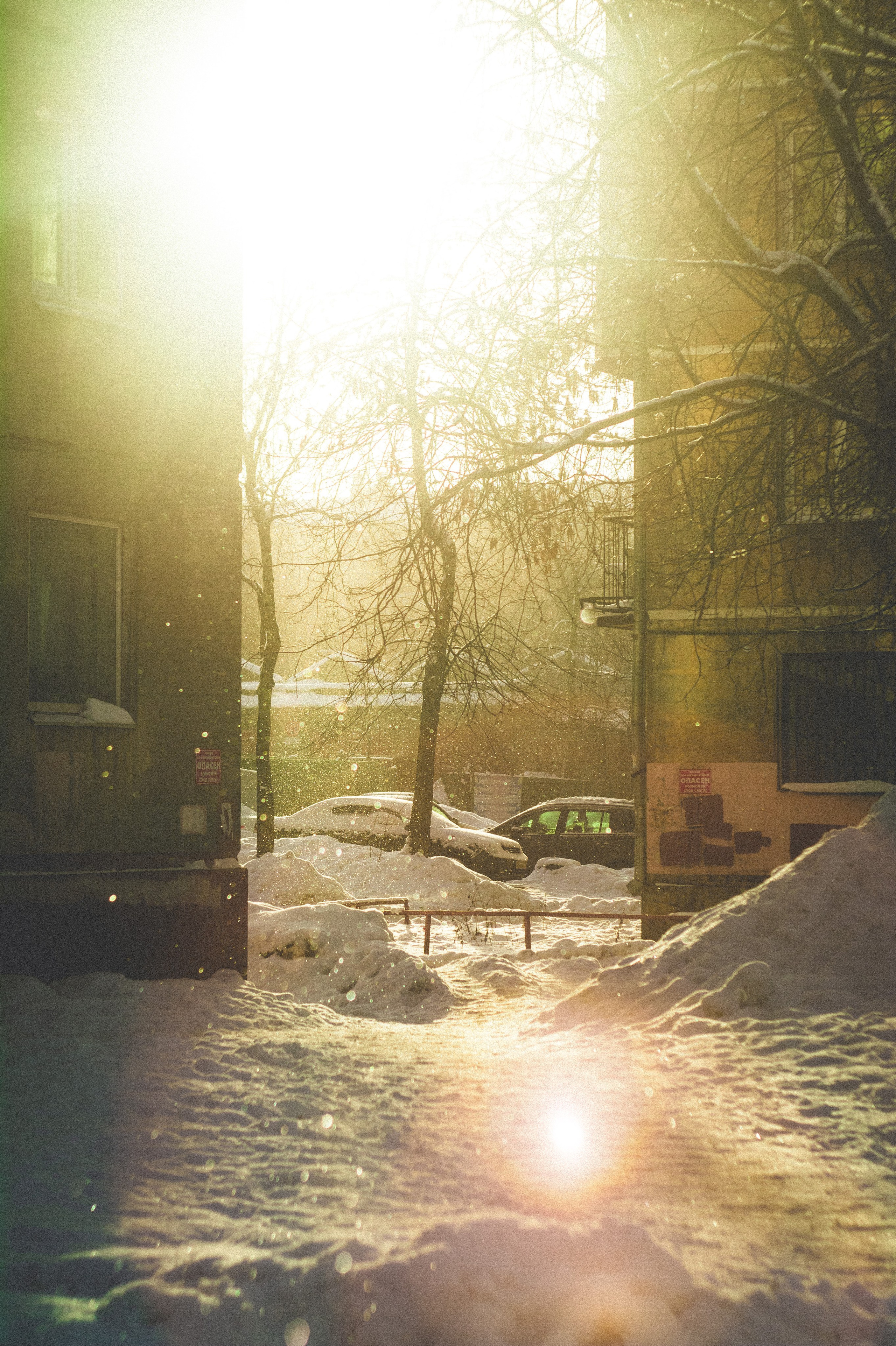 Magnetic storm. Den Mirov — Photographer, Musician