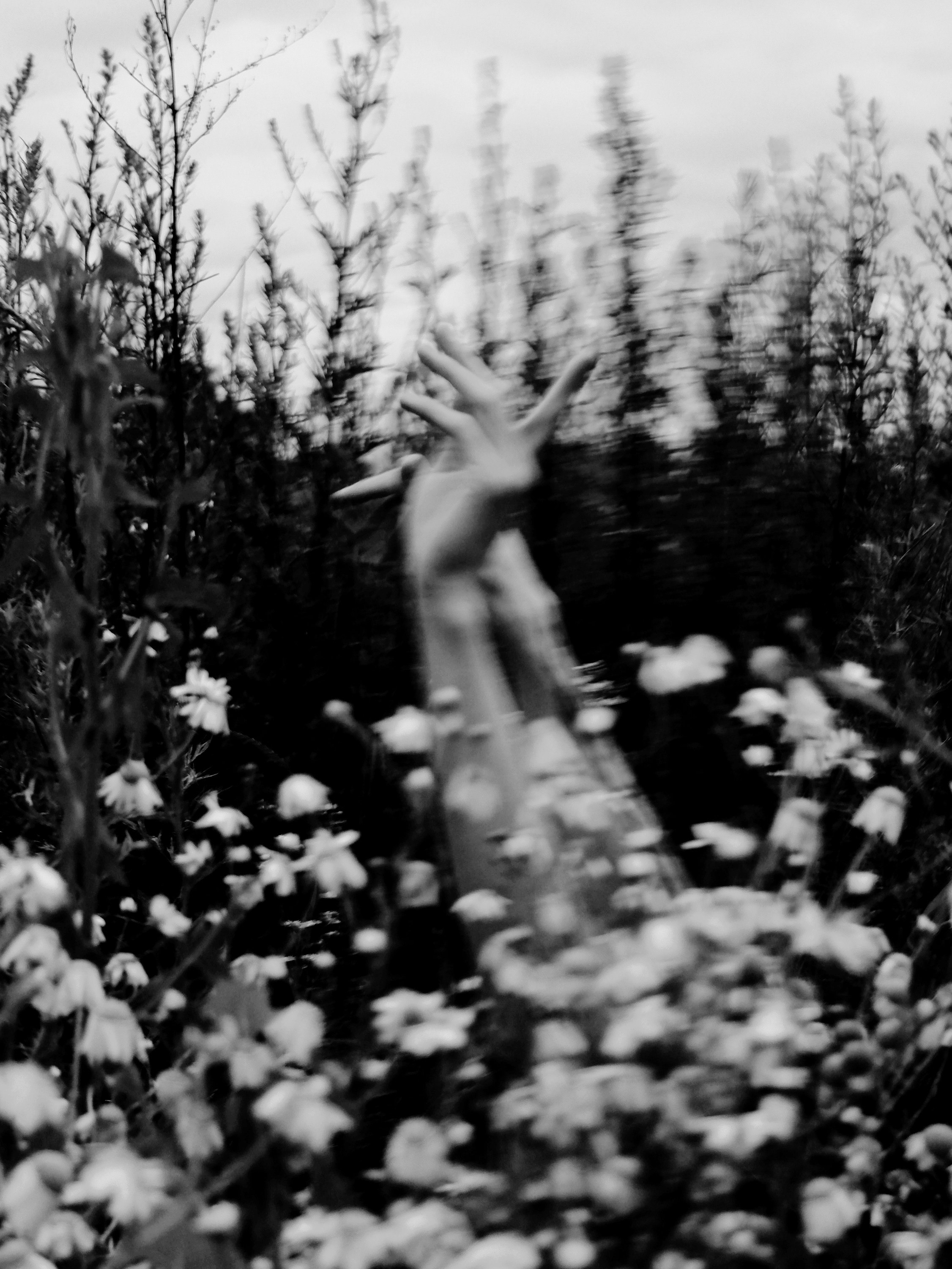 Все фото. Ева Мецгер — фотограф