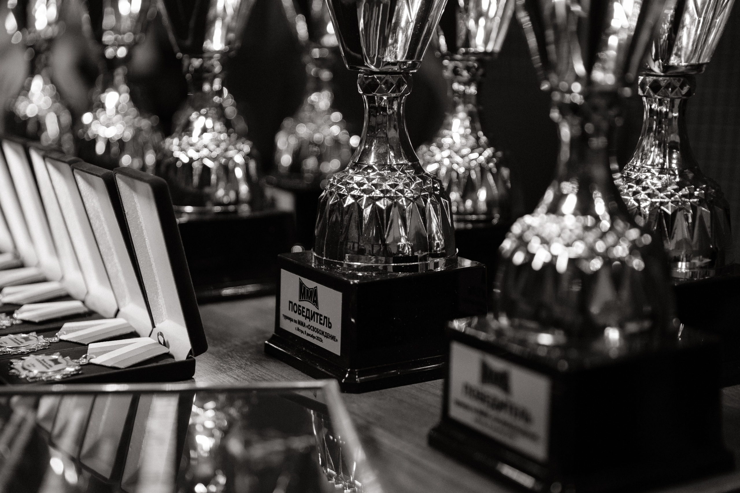 Турнир по ММА «Освобождение» 2023 г. Истра. Свадебный фотограф Фадеева Алёна