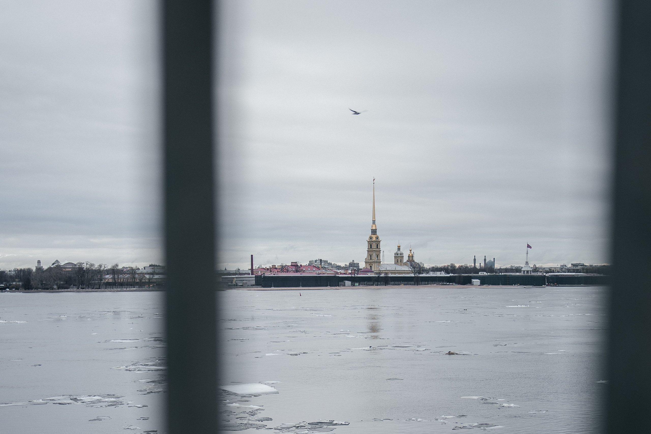 Фотопрогулка по Питеру с Ильёй. Фотограф в Санкт-Петербурге Аня Григорьева ♡