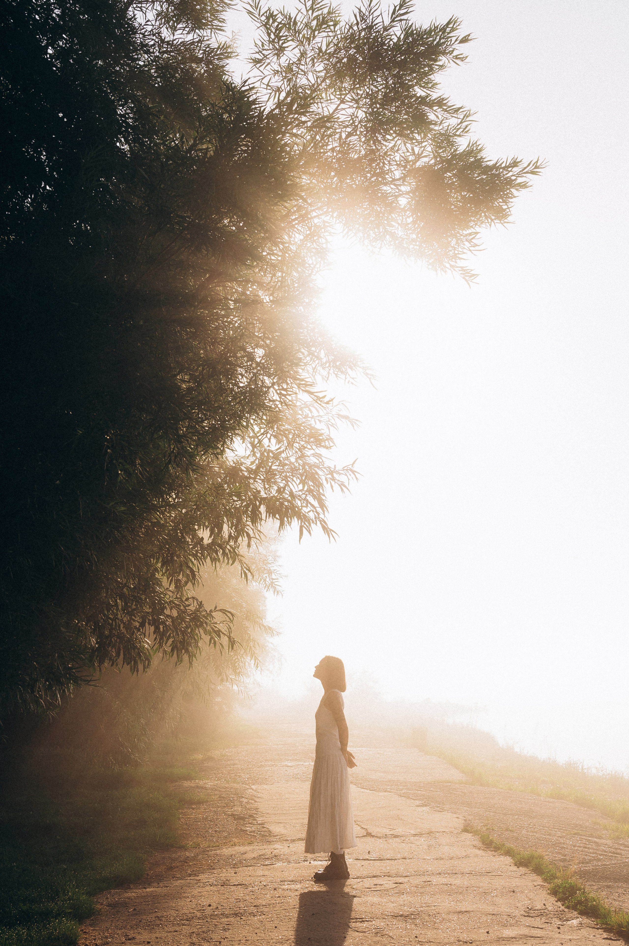 Алина. Семейный и свадебный фотограф в Красноярске Садкеева Юлия