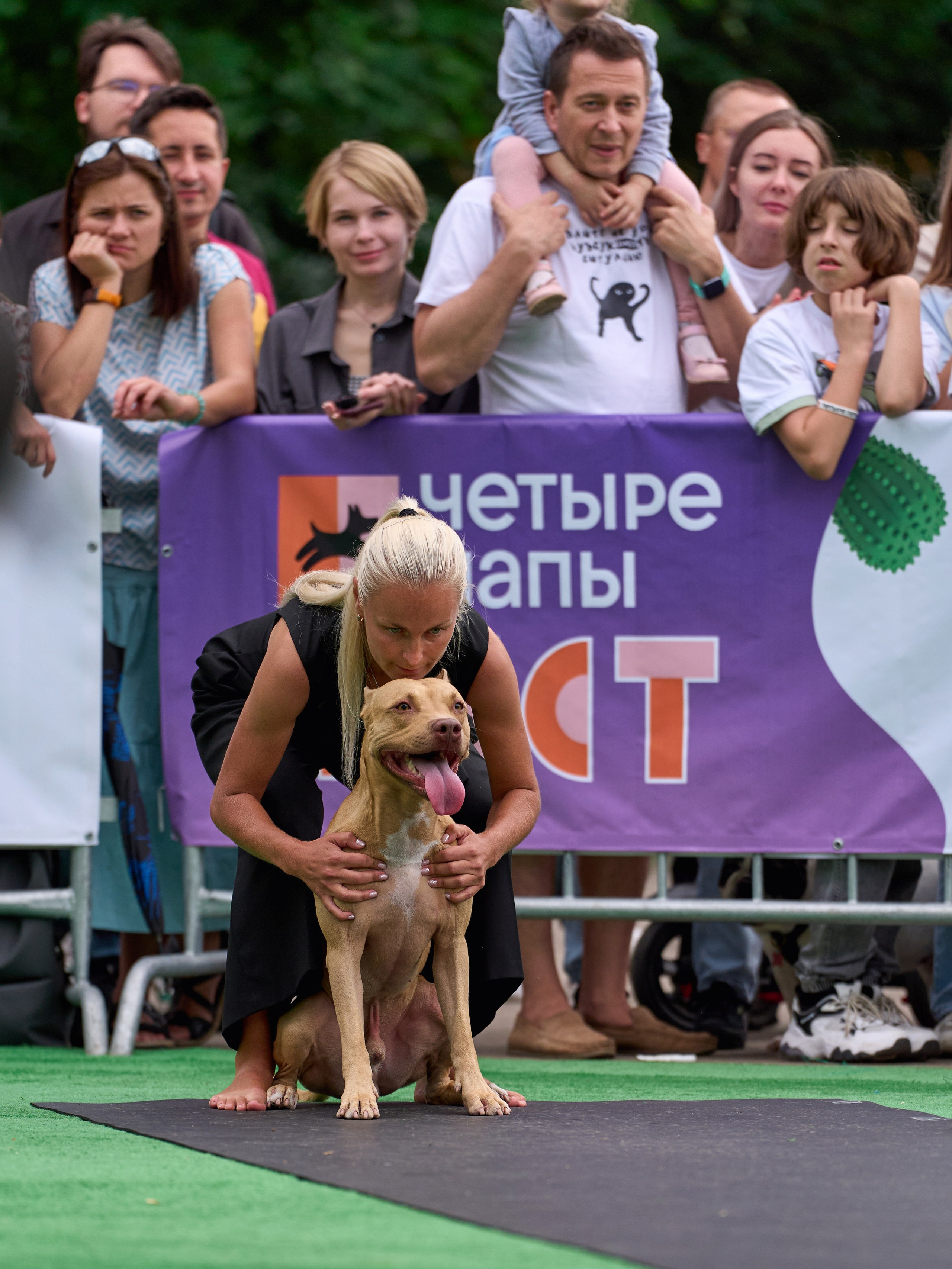 4 лапы Фест. Многоборье. Фотограф-анималист Михаил Манухин