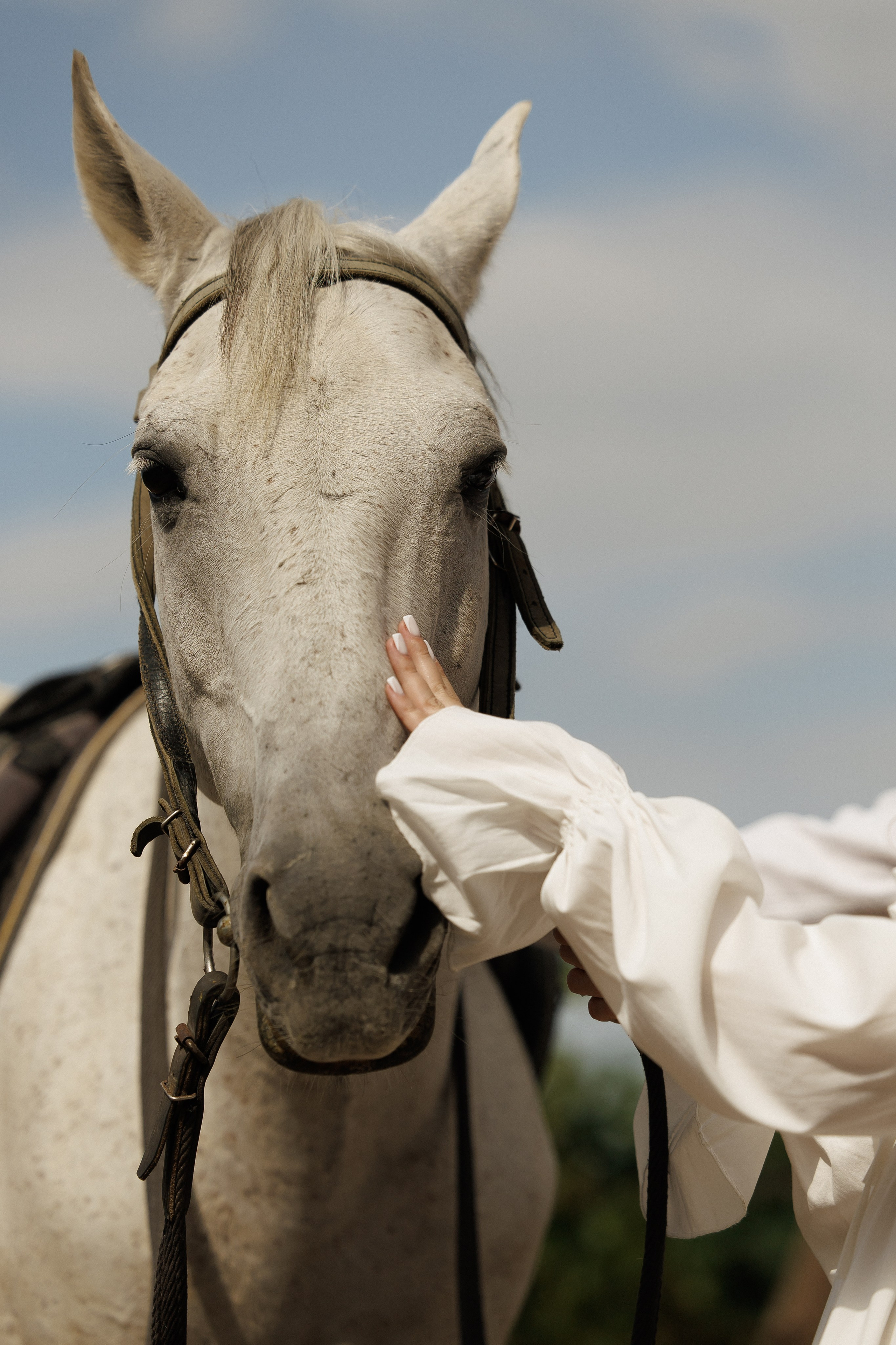 Wedding N&V. Свадебный фотограф Краснодар Юлия Ткаченко