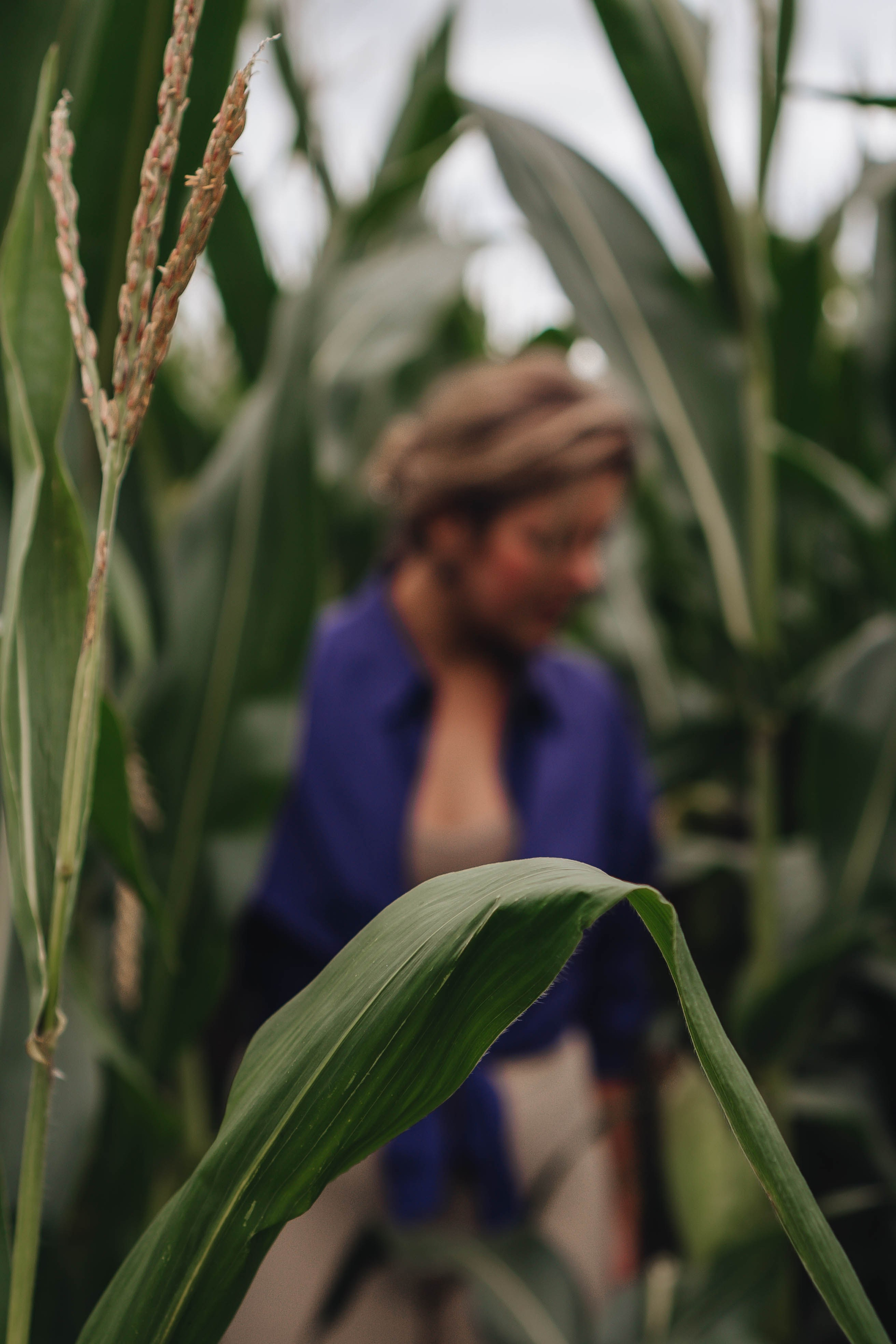 Фотосессия в поле. Профессиональный фотограф, Санкт-Петербург — Виктория Богомолова