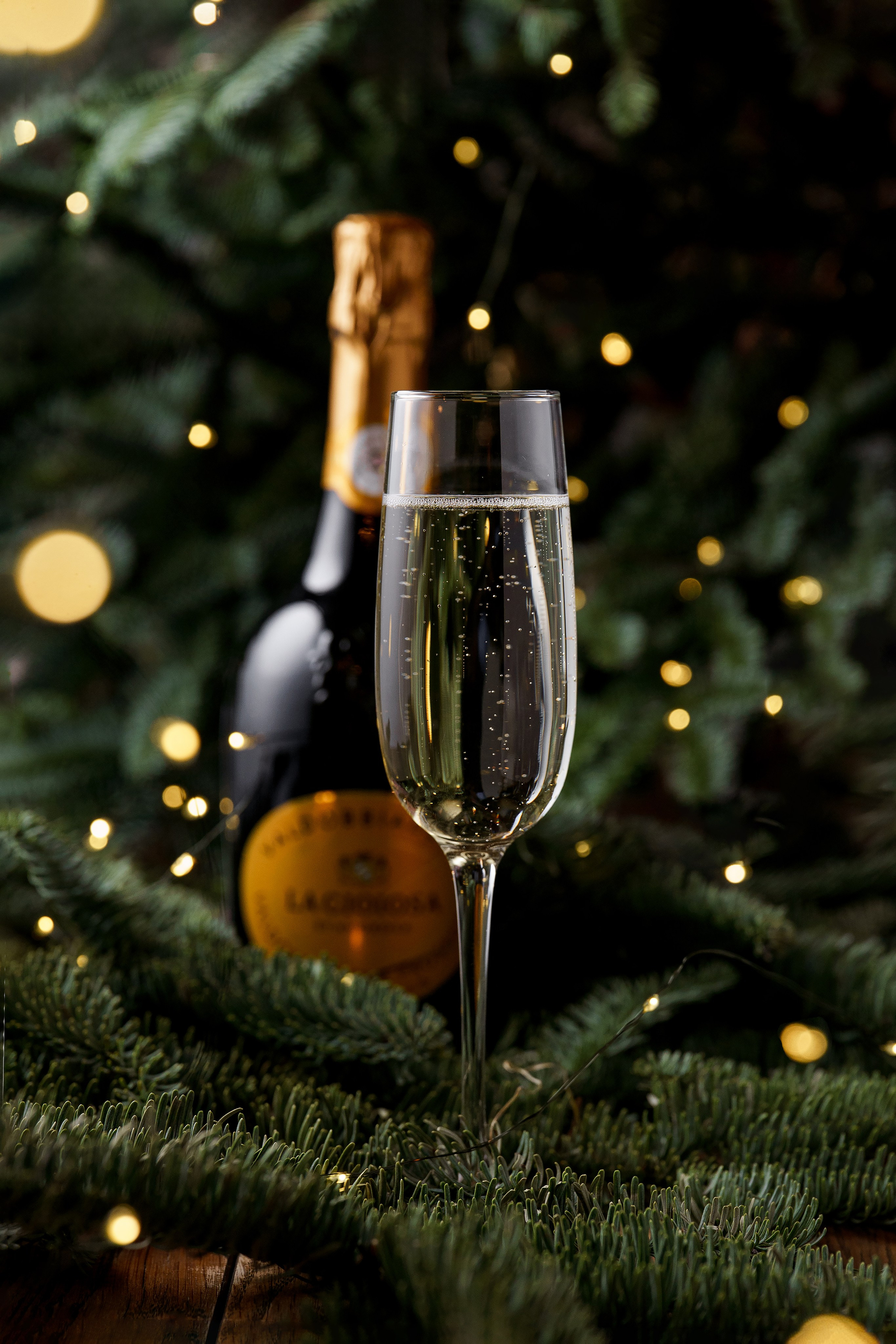 Цыцыла Новый Год. Фуд-фотограф, Предметный фотограф, AI креатор. Москва