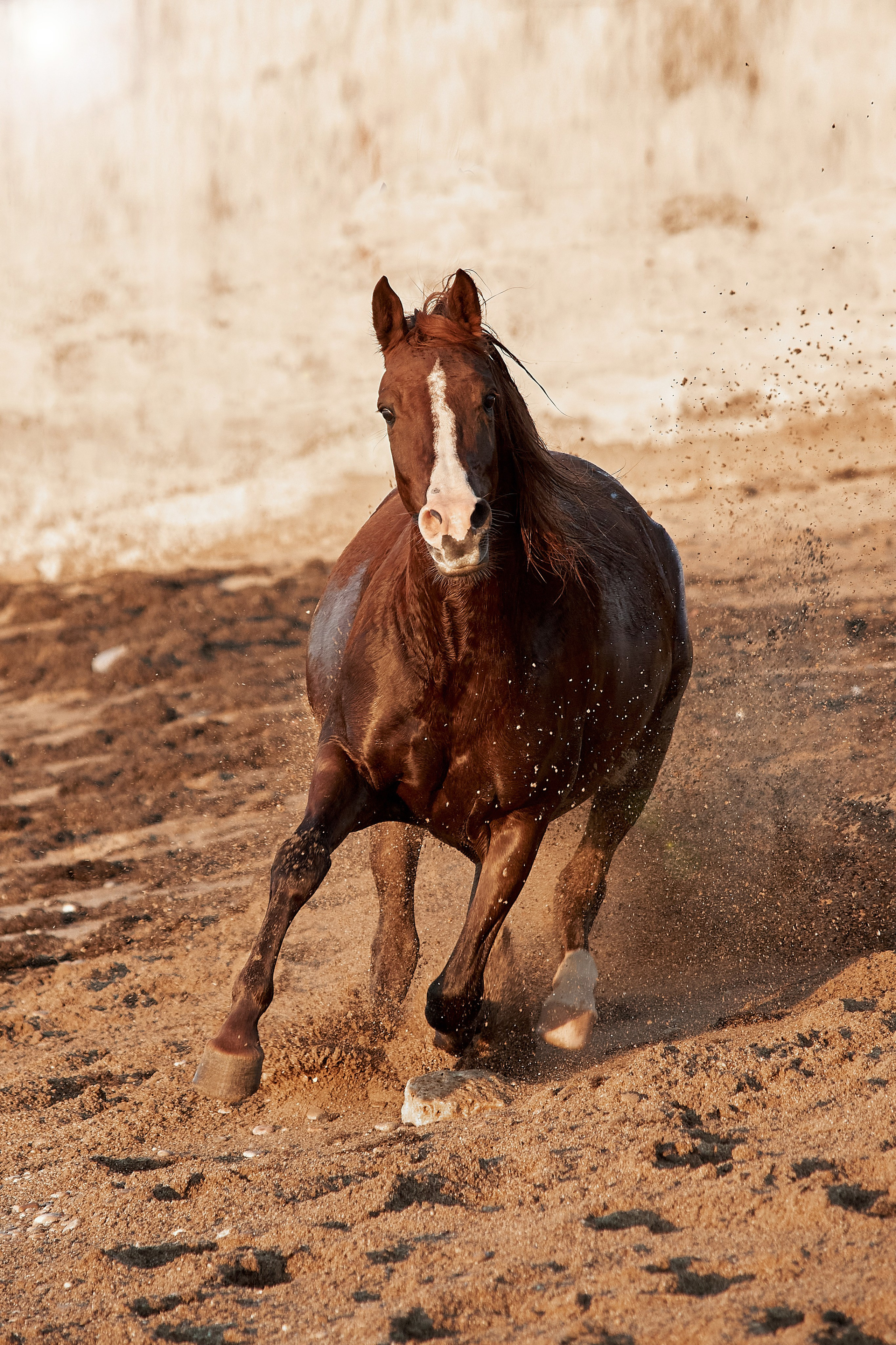 Галактика и Кассиопея. Фотограф в Севастополе