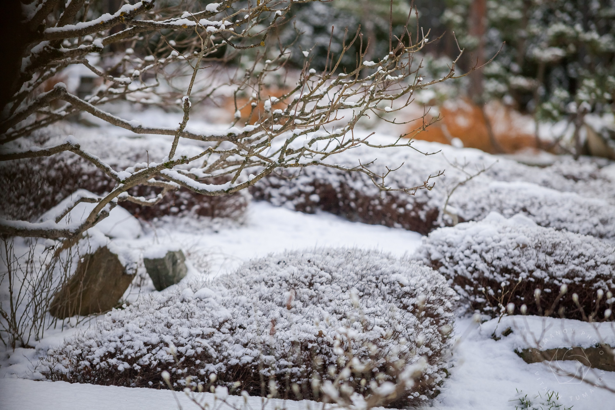 ОДНИМ СОЛНЕЧНЫМ ЗИМНИМ ДНЁМ!. Виталий Туманов — Ландшафтный фотограф