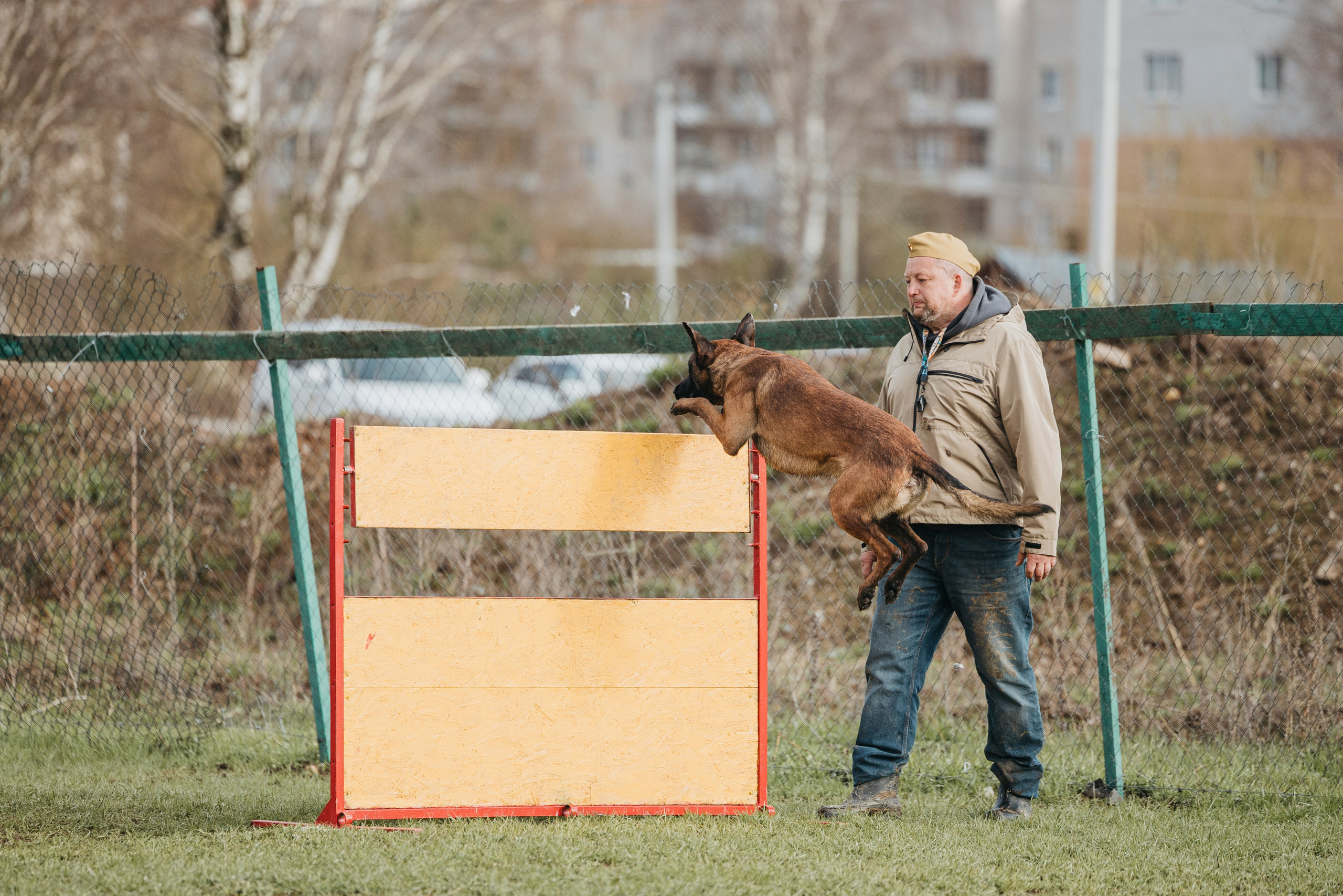 09.05.25 Вологда соревнования. Фотограф-анималист Анна Маринич