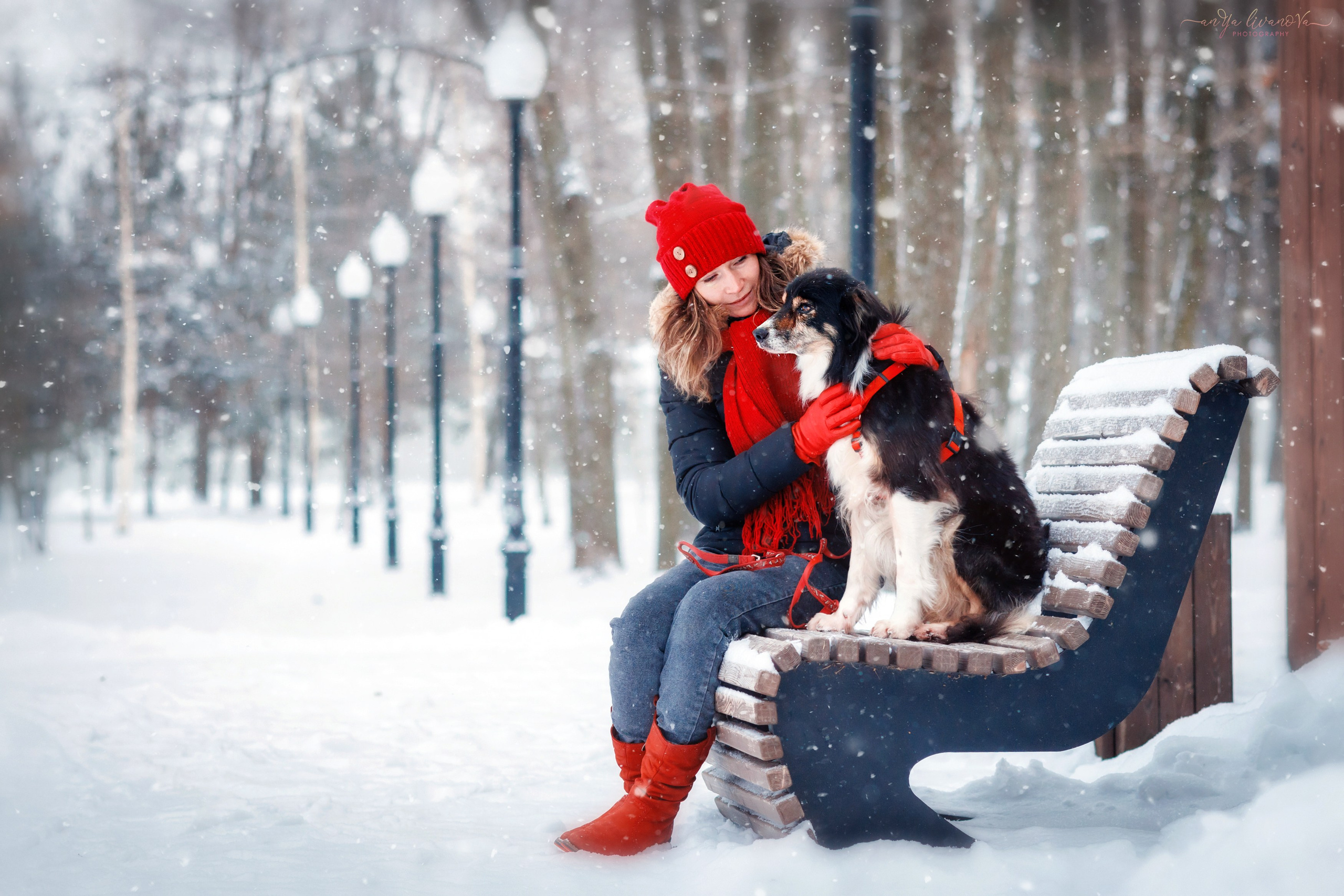 Рокки. Фотограф анималист Аня Ливанова | Рыбинск