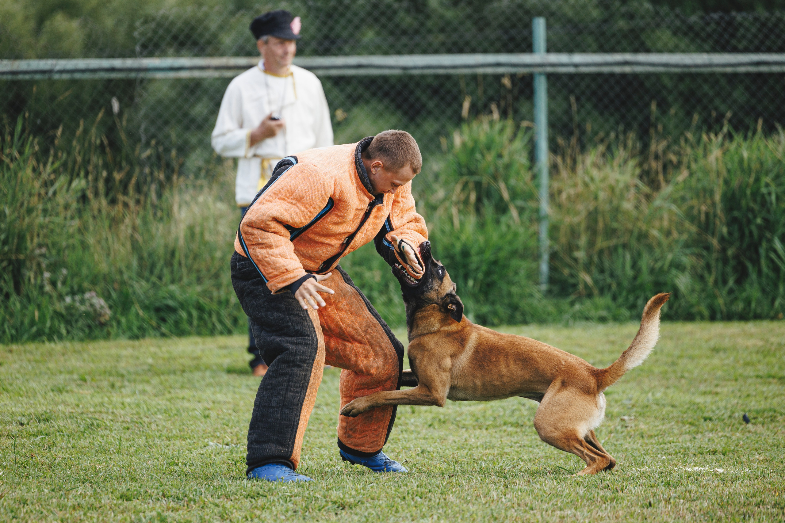 08.08.25-10.08.25 ЧР по мондьорингу г. Вологда. Фотограф-анималист Анна Маринич