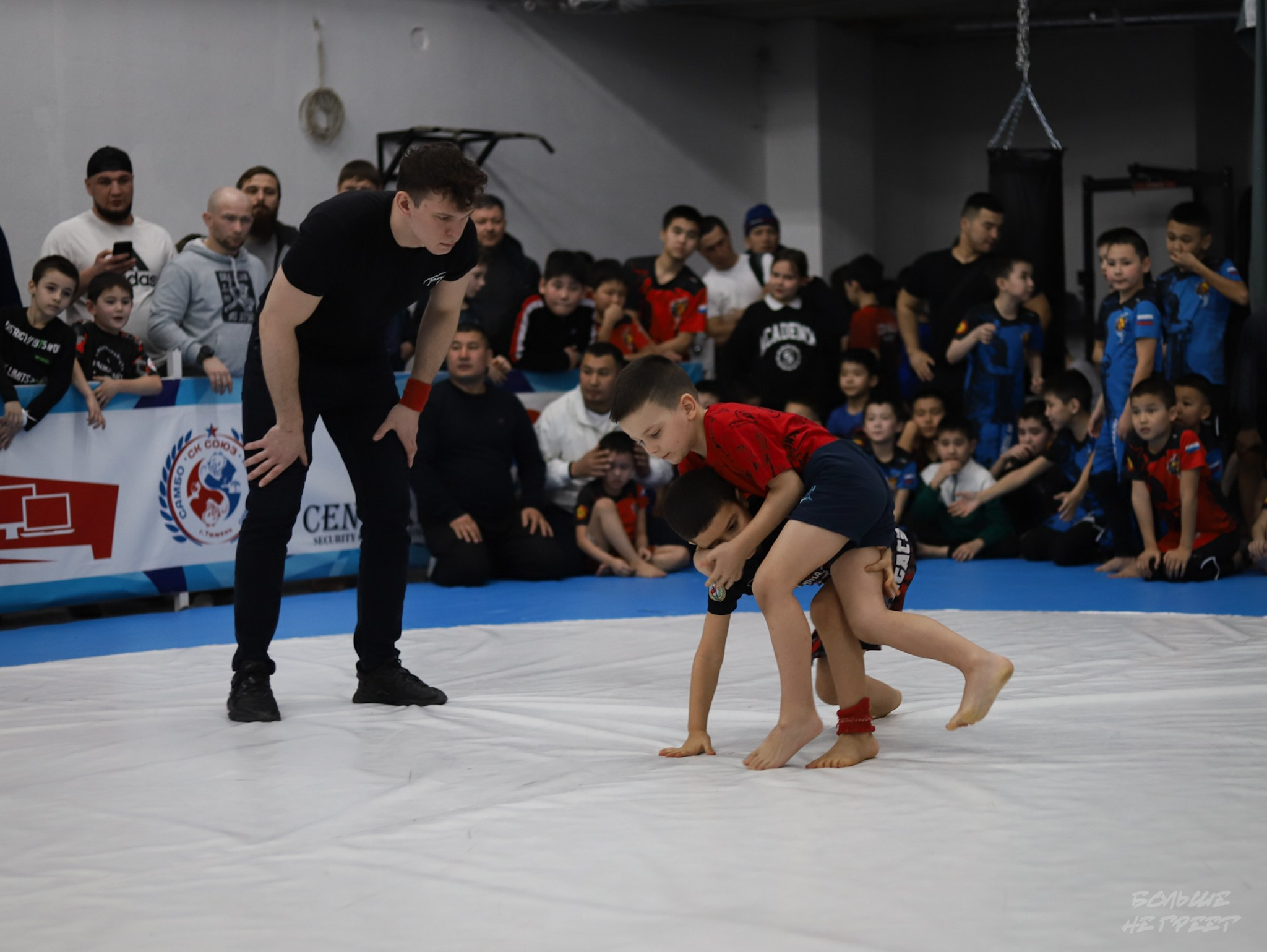 GORILLA PRIDE CUP. Больше не греет