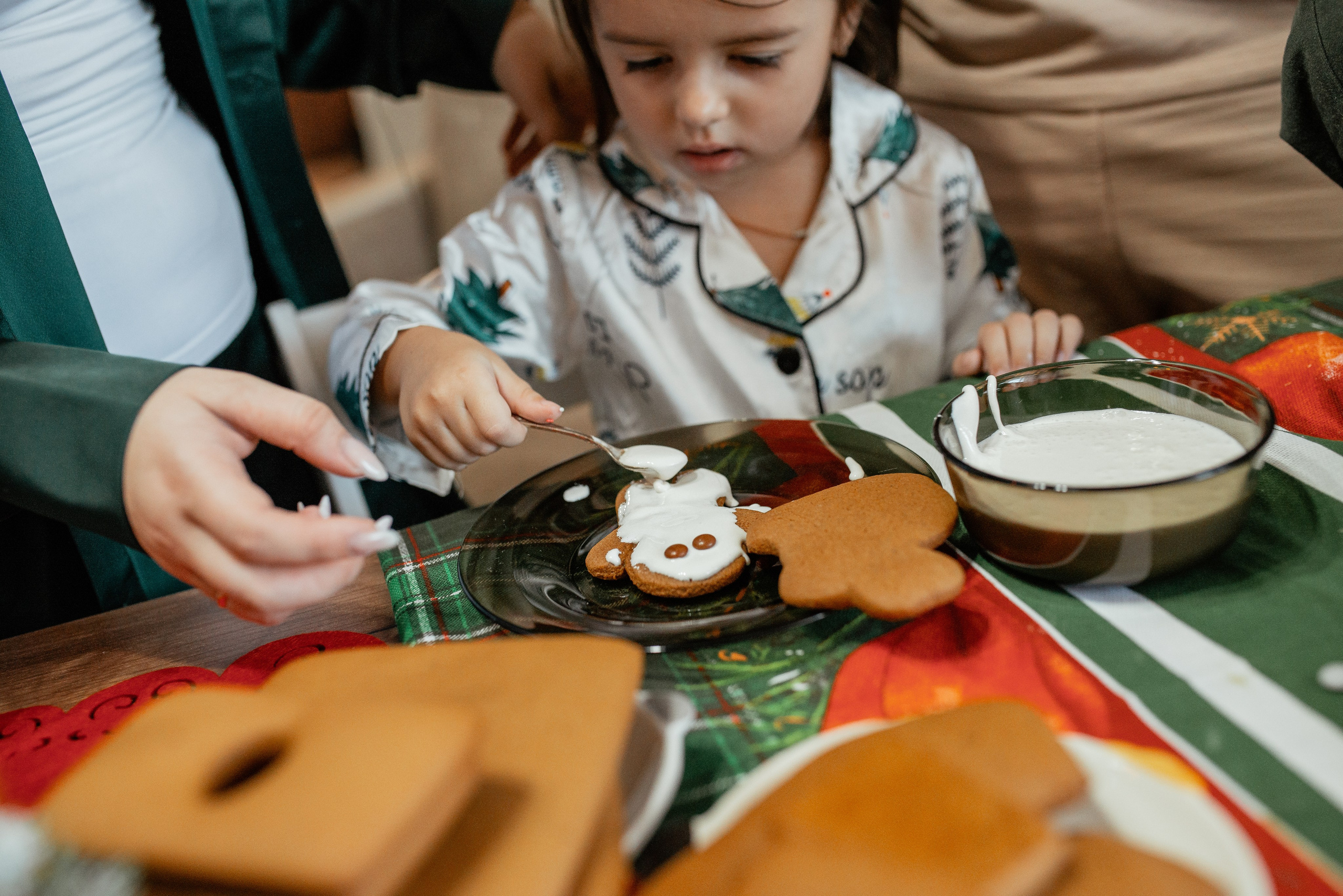 Домашняя новогодняя. Галина Чекунова Фотограф в Ростове-на-Дону